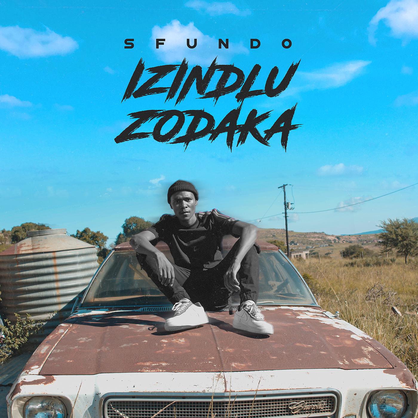 Постер альбома Izindlu Zodaka