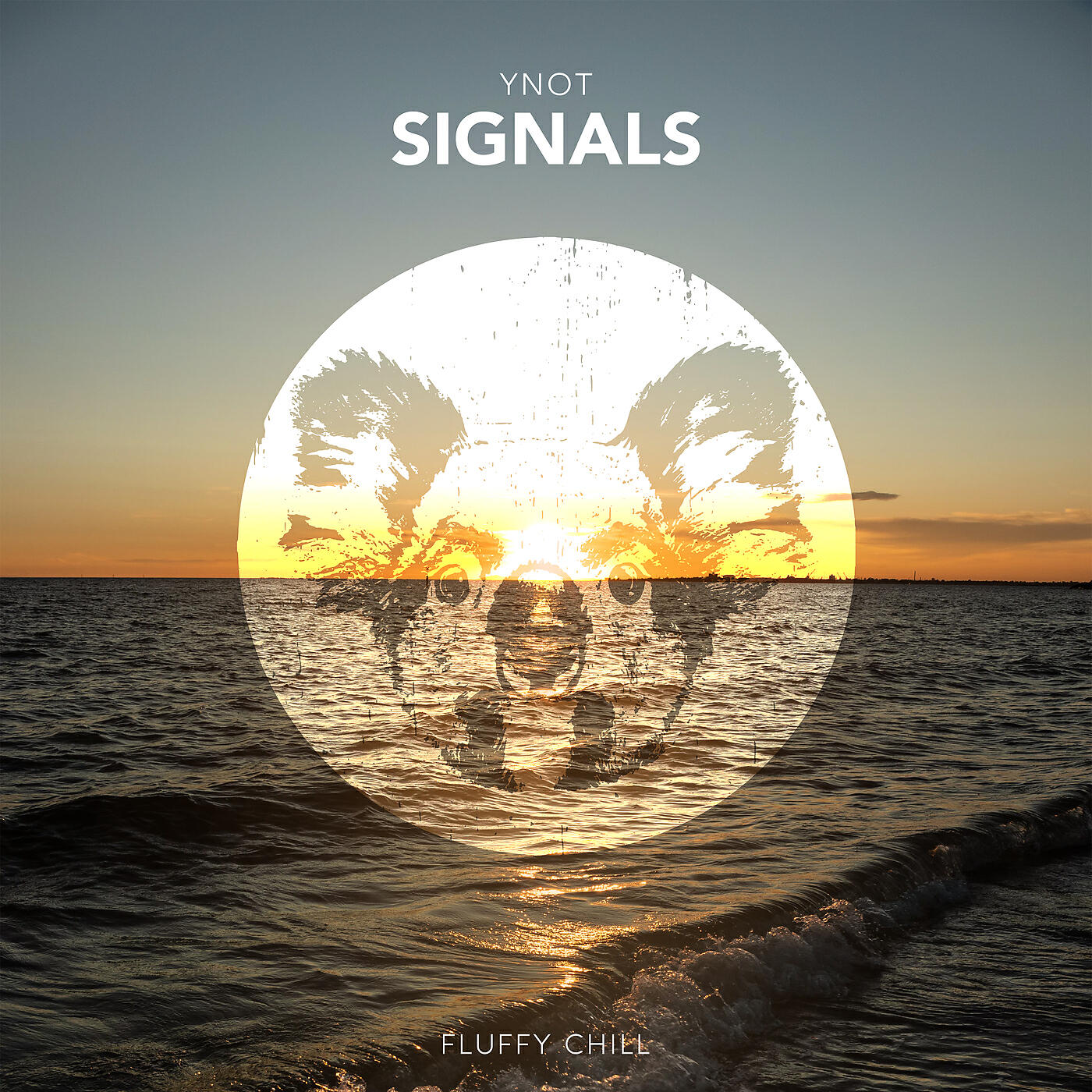 YNOT - Signals