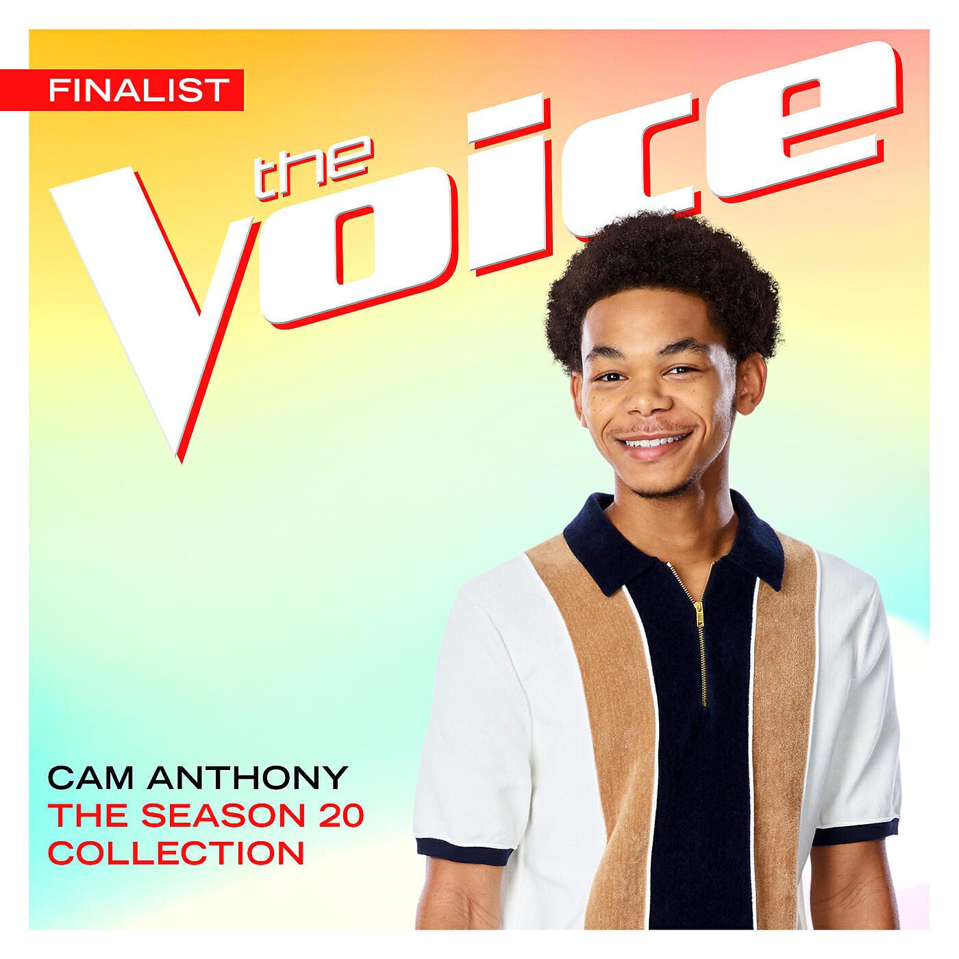 Cam Anthony - She Drives Me Crazy (The Voice Performance)