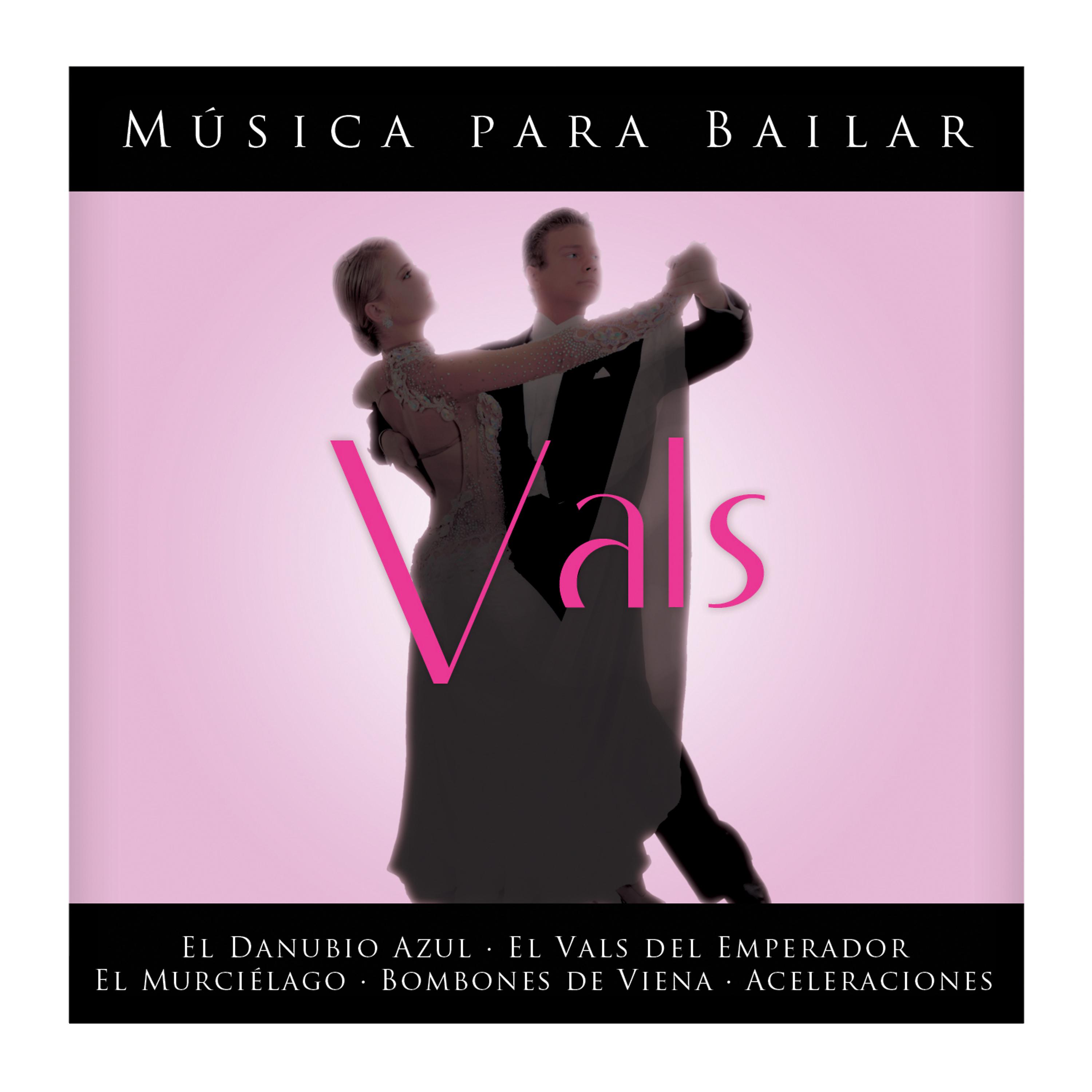 Постер альбома Johann Strauss: Musica para Bailar Vals