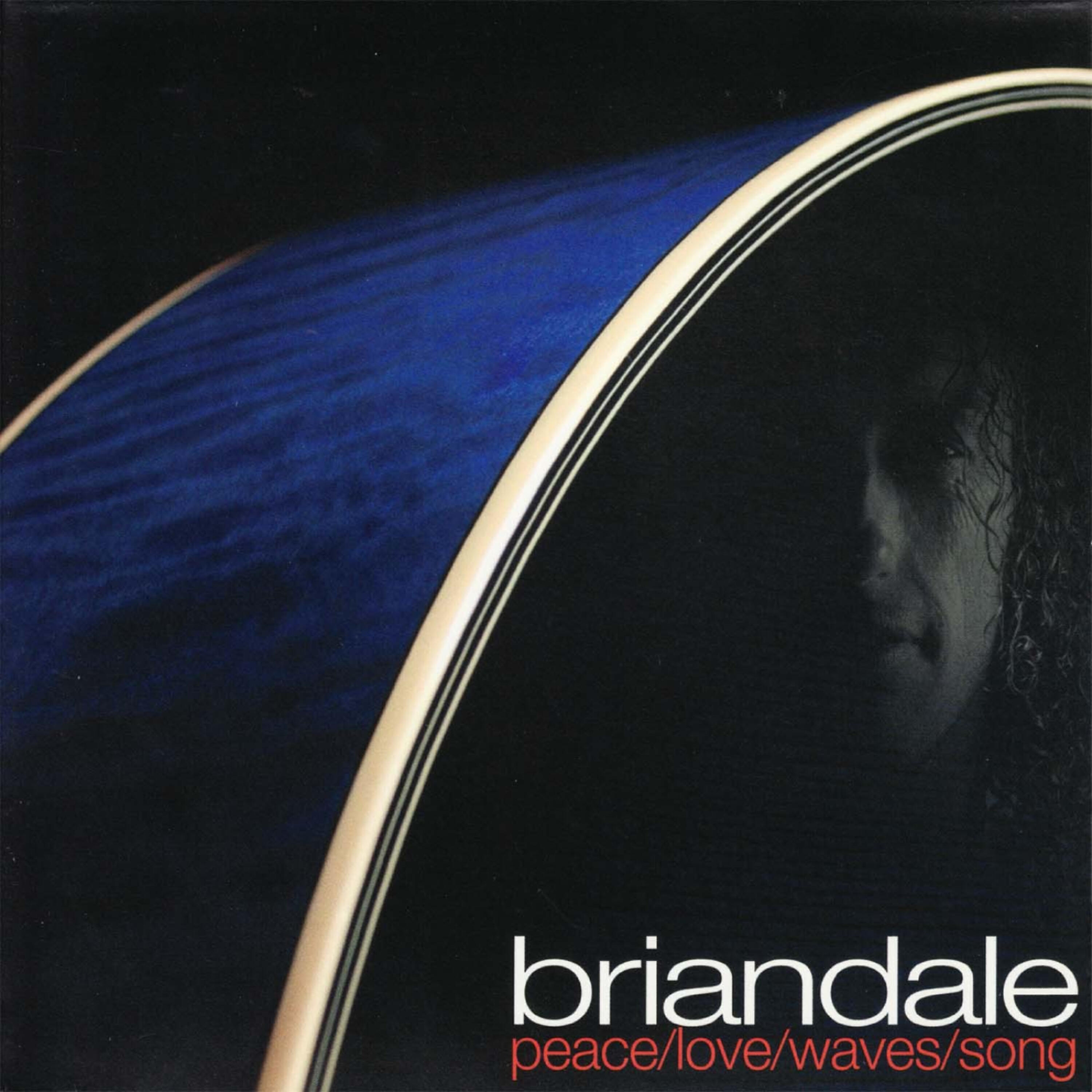 Brian Dale - the ferris wheel