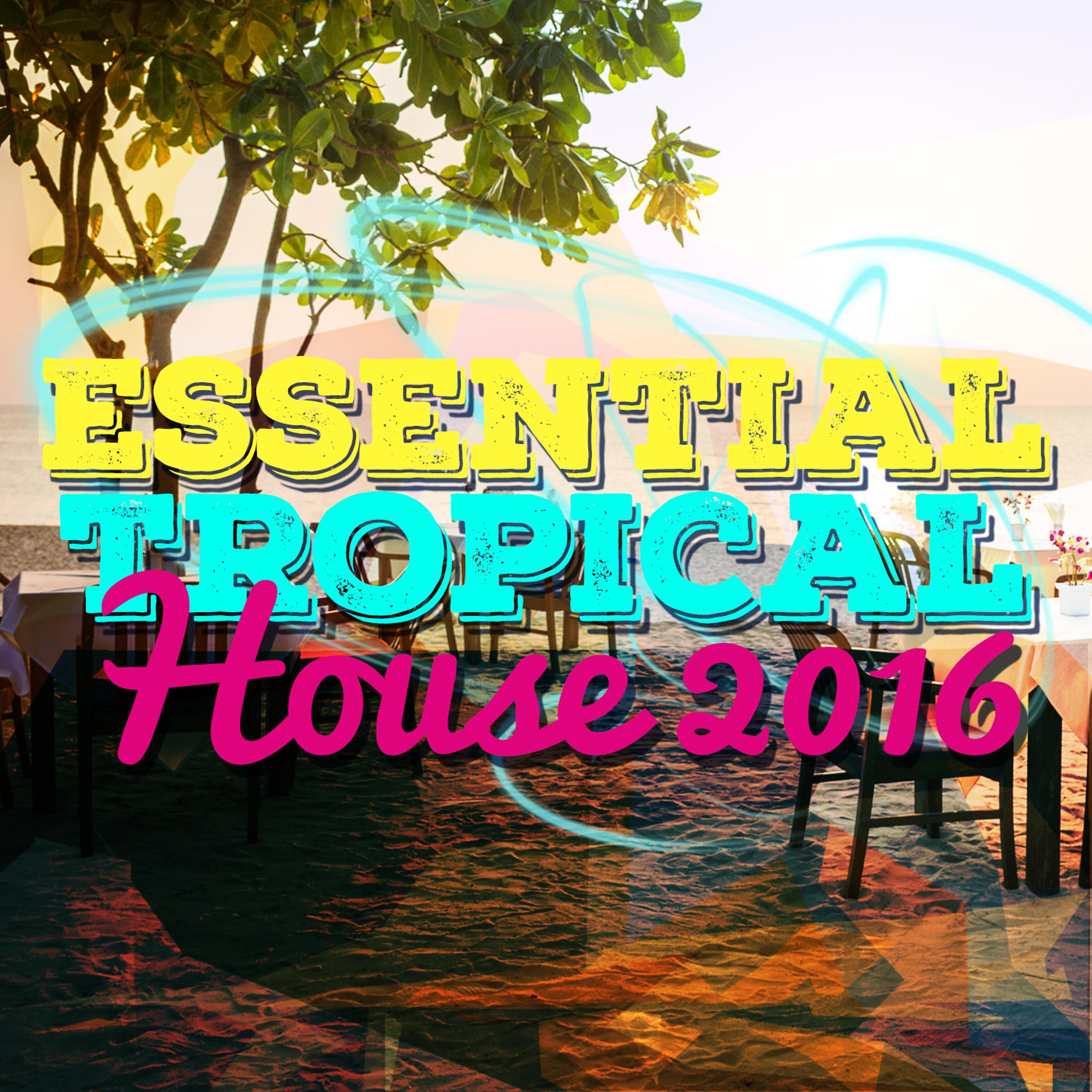 Постер альбома Essential Tropical House 2016