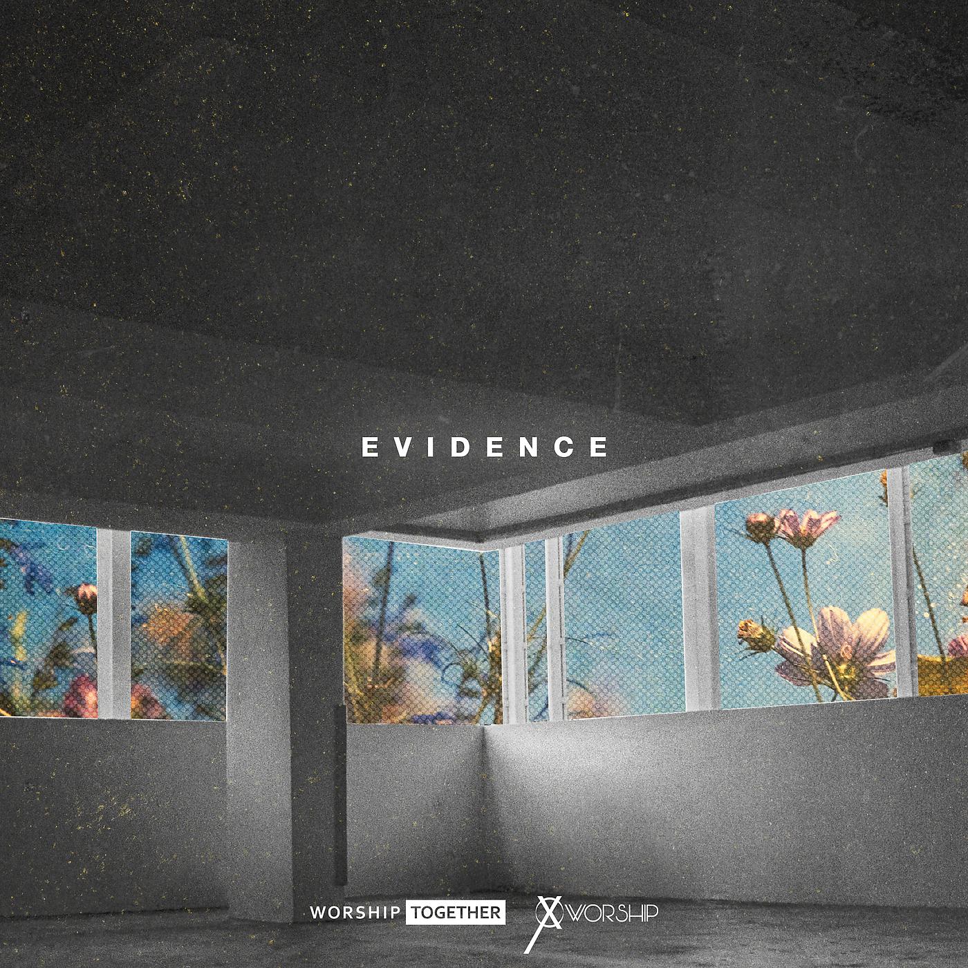 Постер альбома Evidence