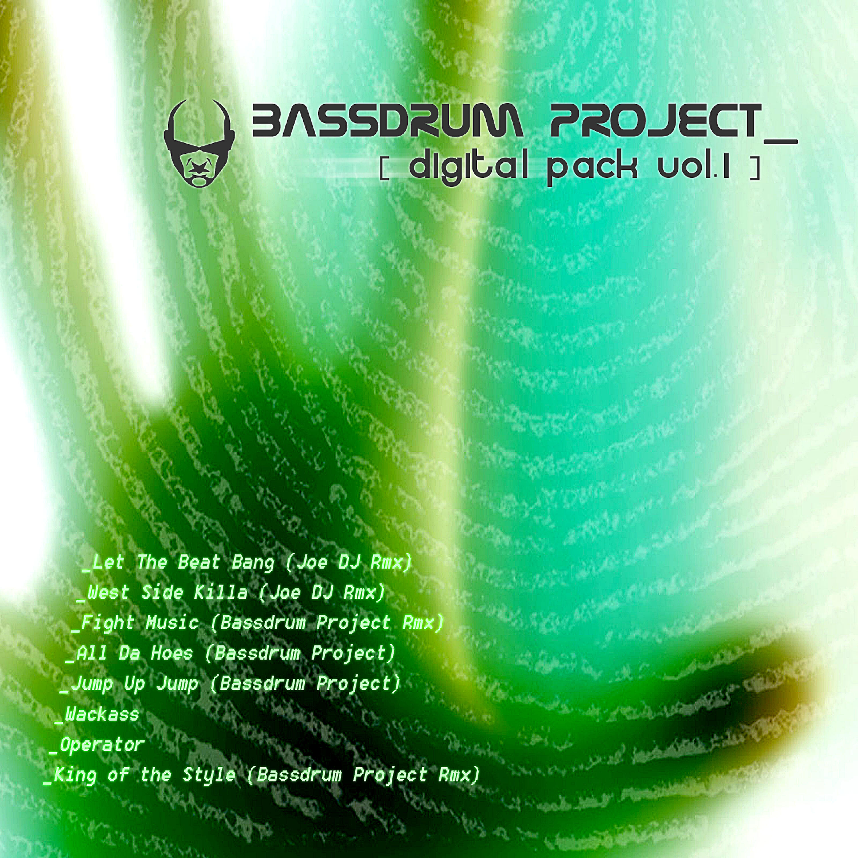 Kick DJ - King Of The Style (Bassdrum Project Remix)