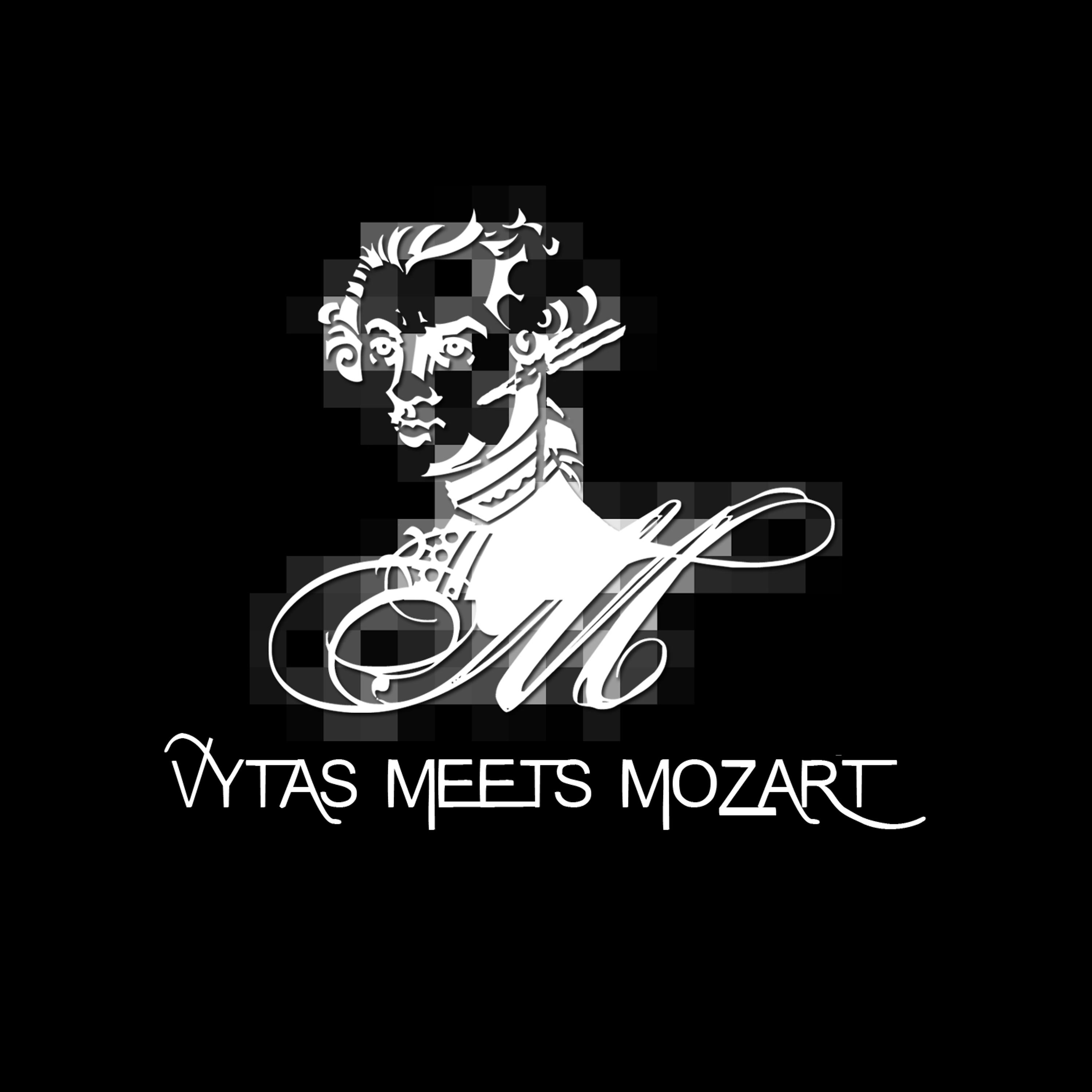 Постер альбома Vytas meets Mozart