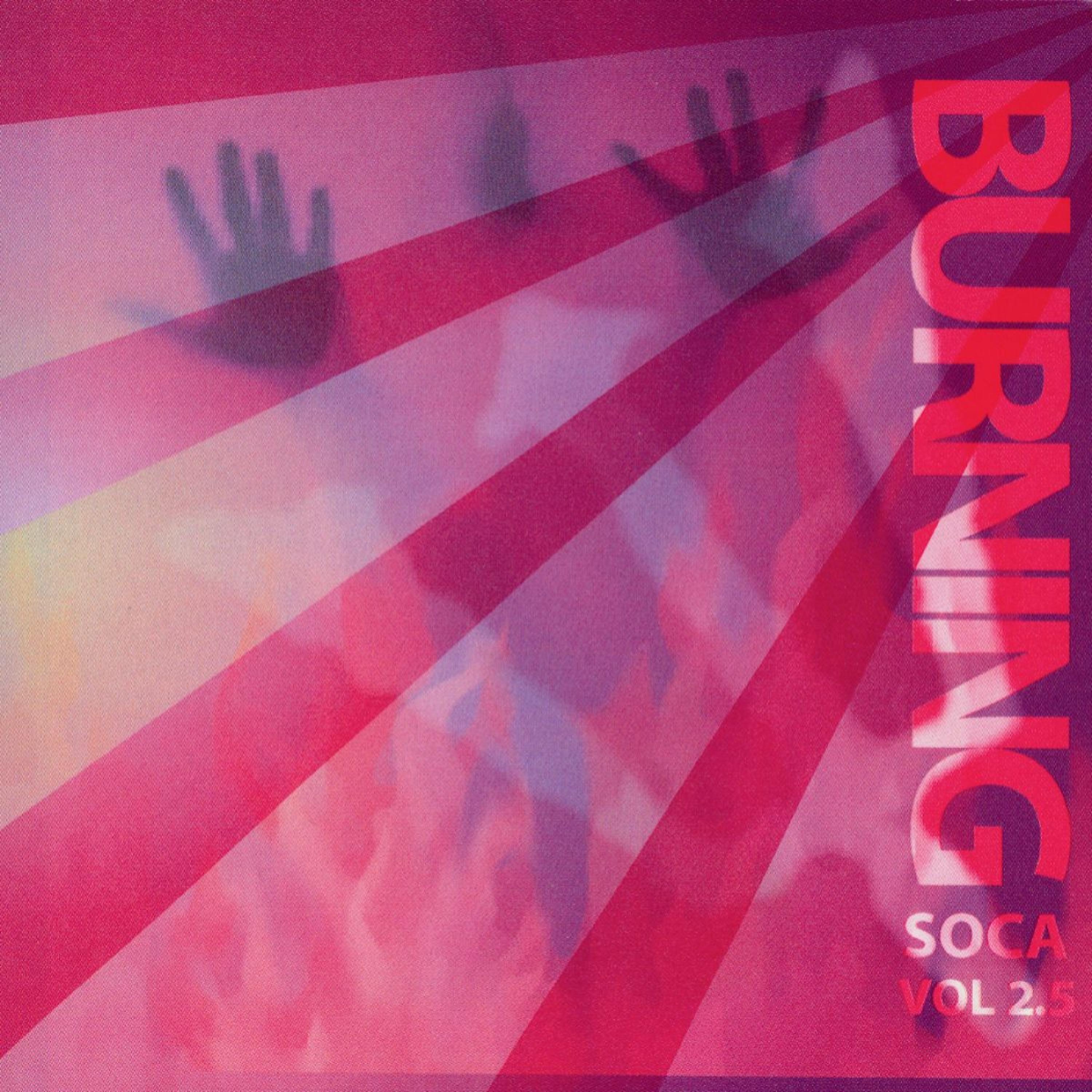 Постер альбома Burning Soca 2.5