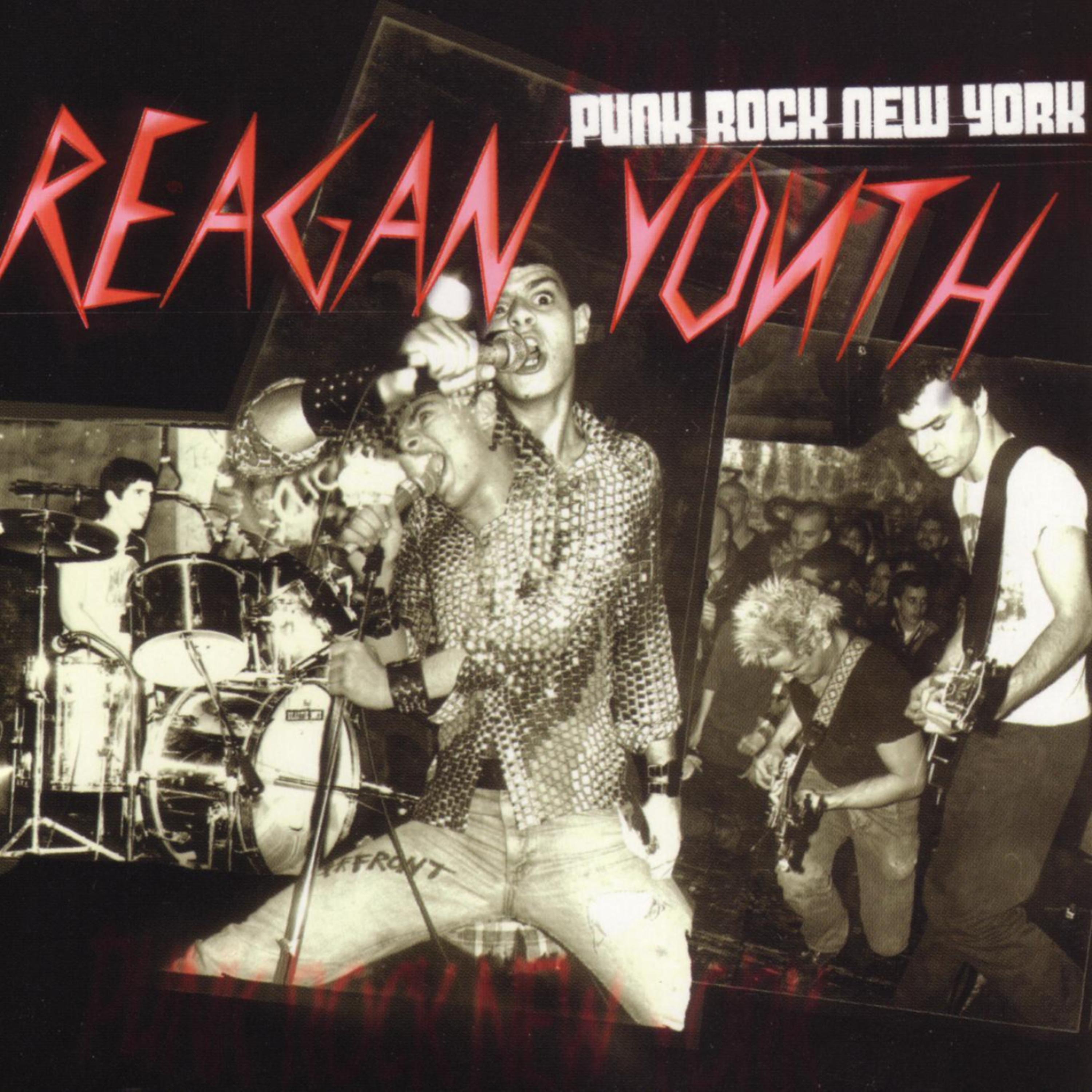 Постер альбома Punk Rock New York