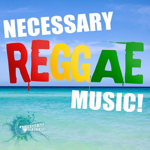 Постер альбома Necessary Reggae