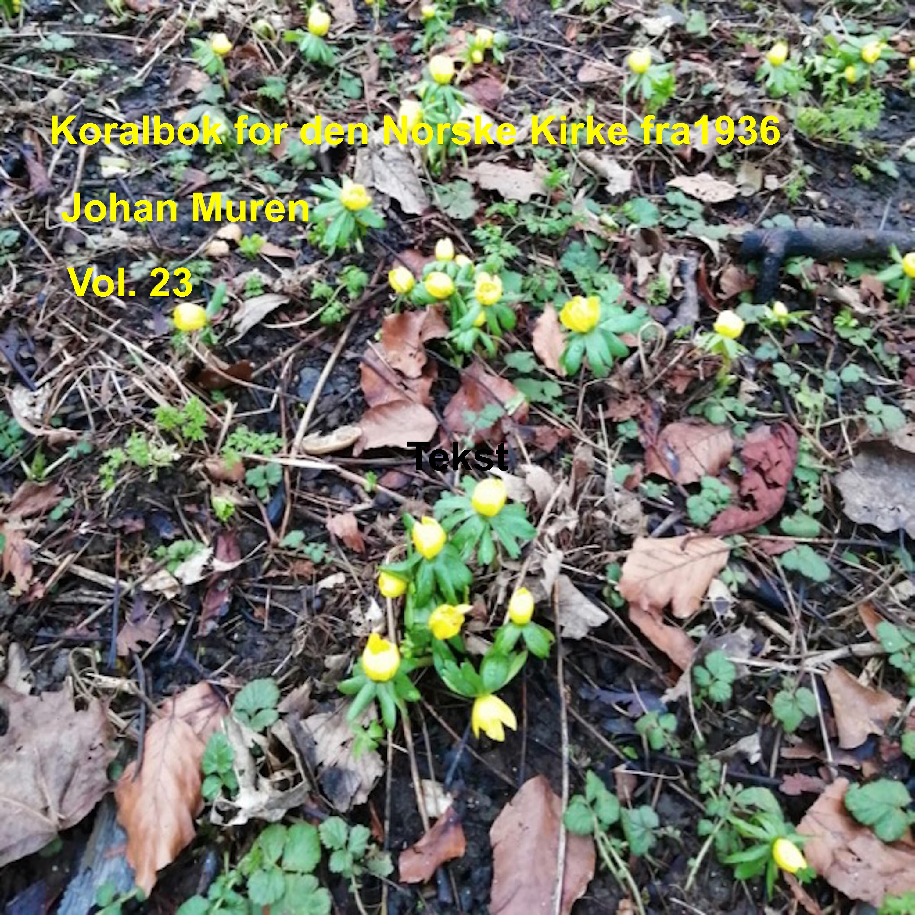 Johan Muren - Min Sjæl, hvi vil du græmme dig