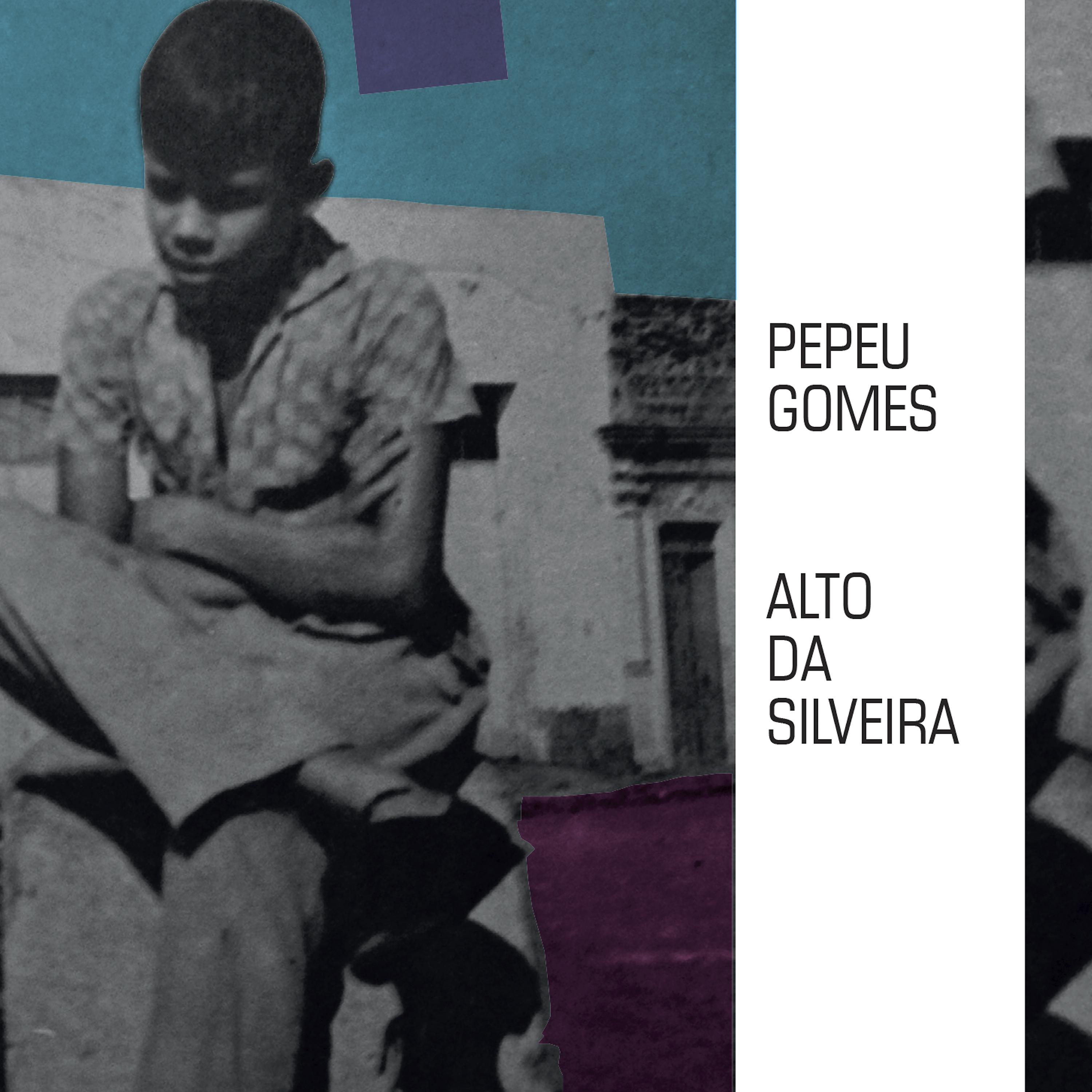 Постер альбома Alto da Silveira