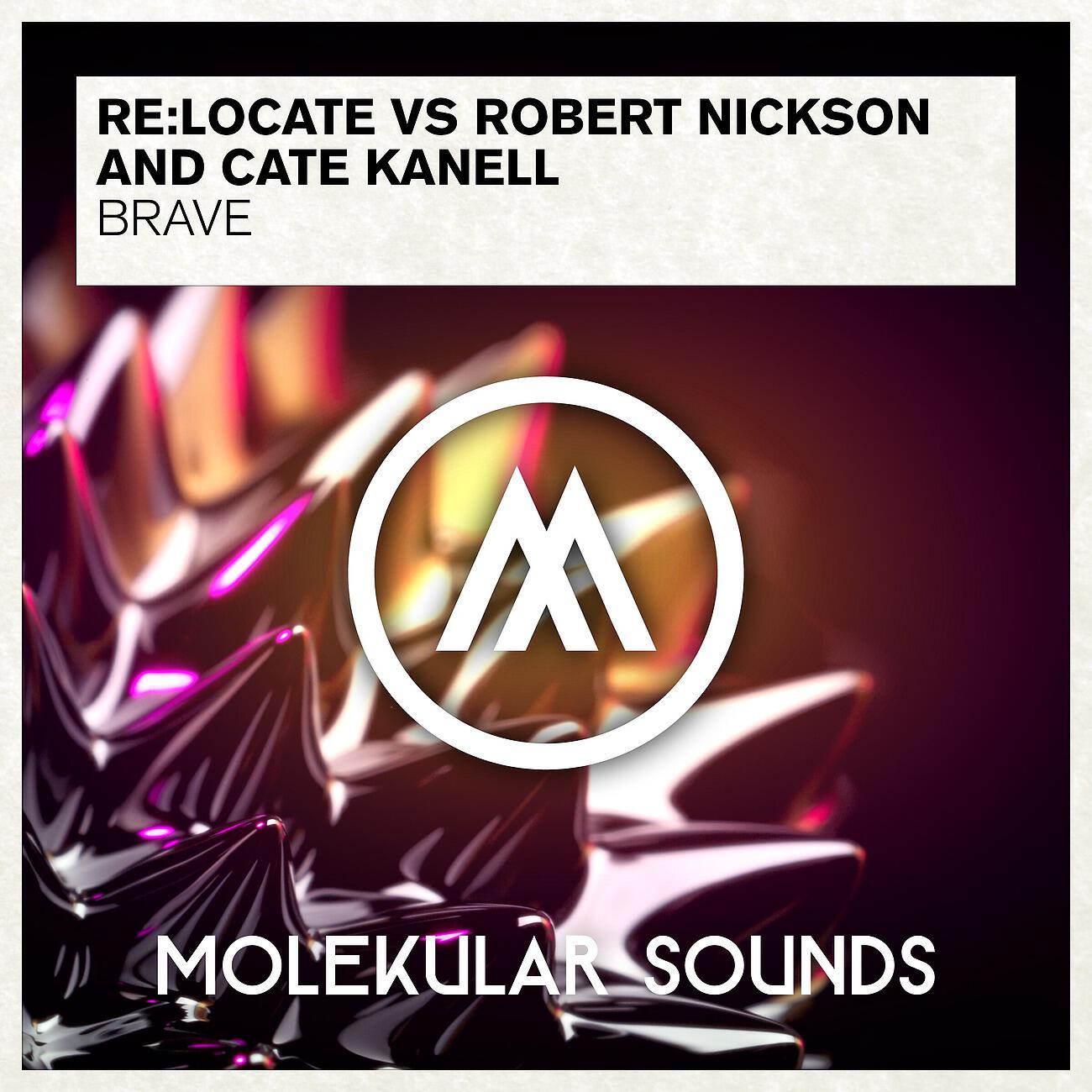 Re:Locate - Brave (Andy Elliass & Araya Remix)