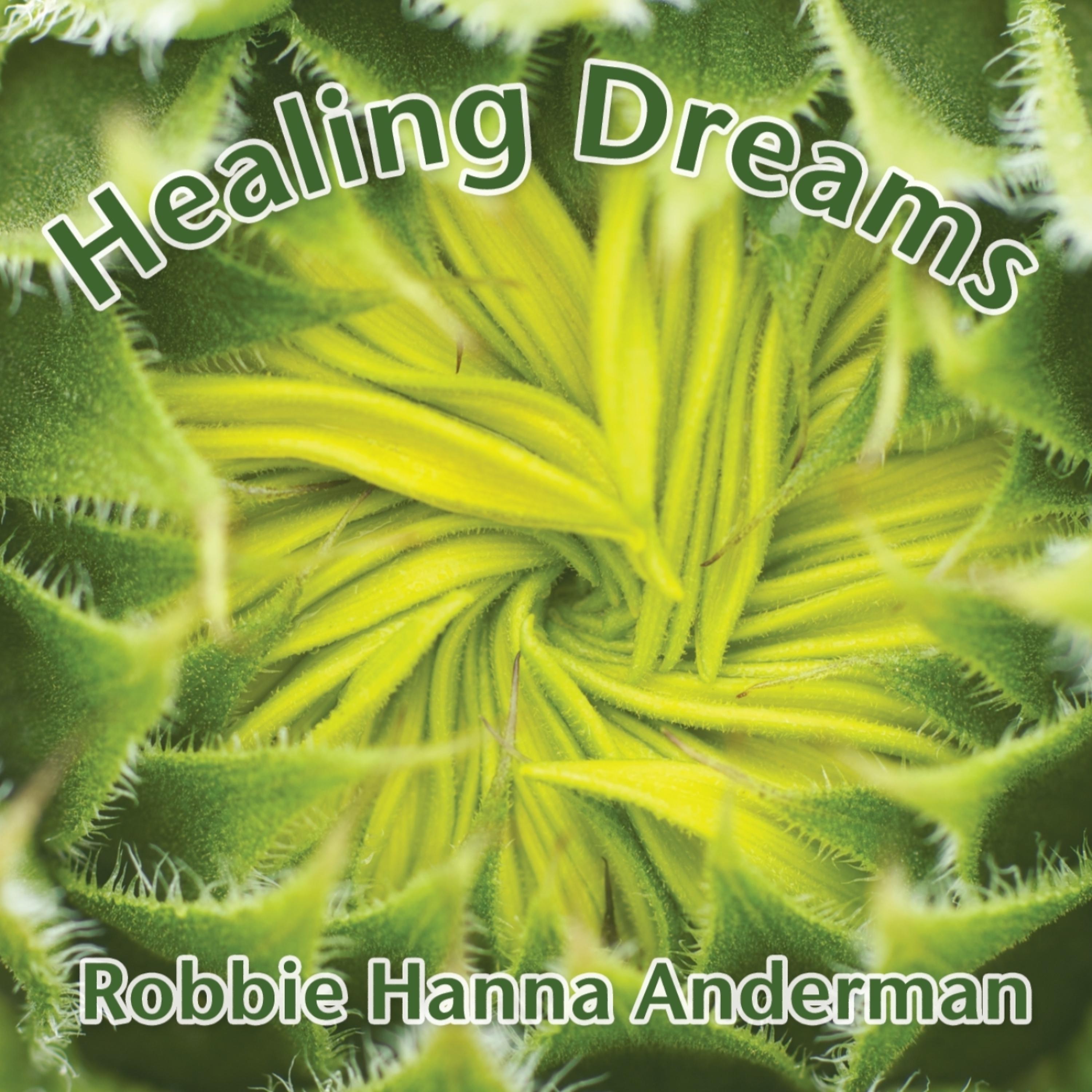 Постер альбома Healing Dreams