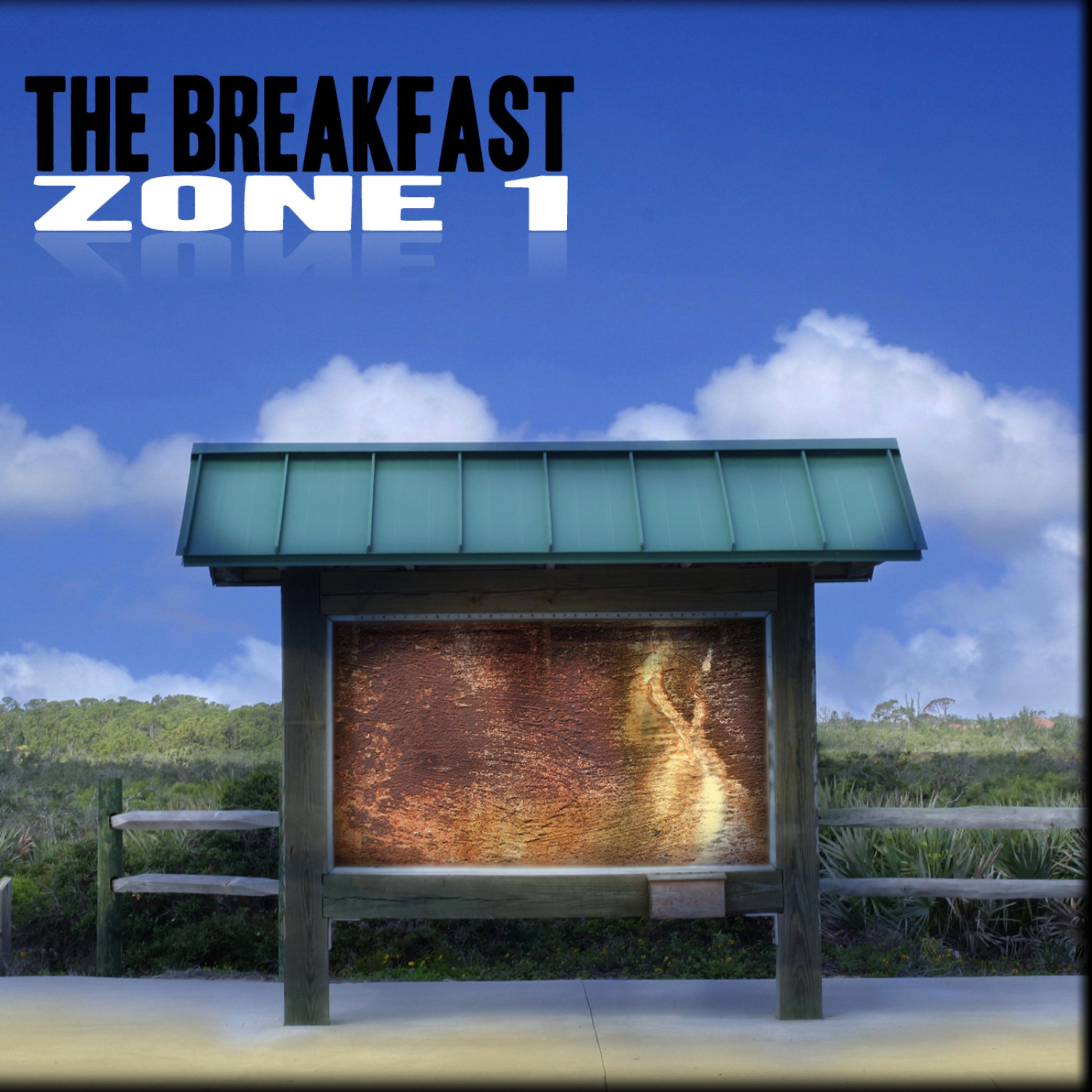 Постер альбома Zone 1