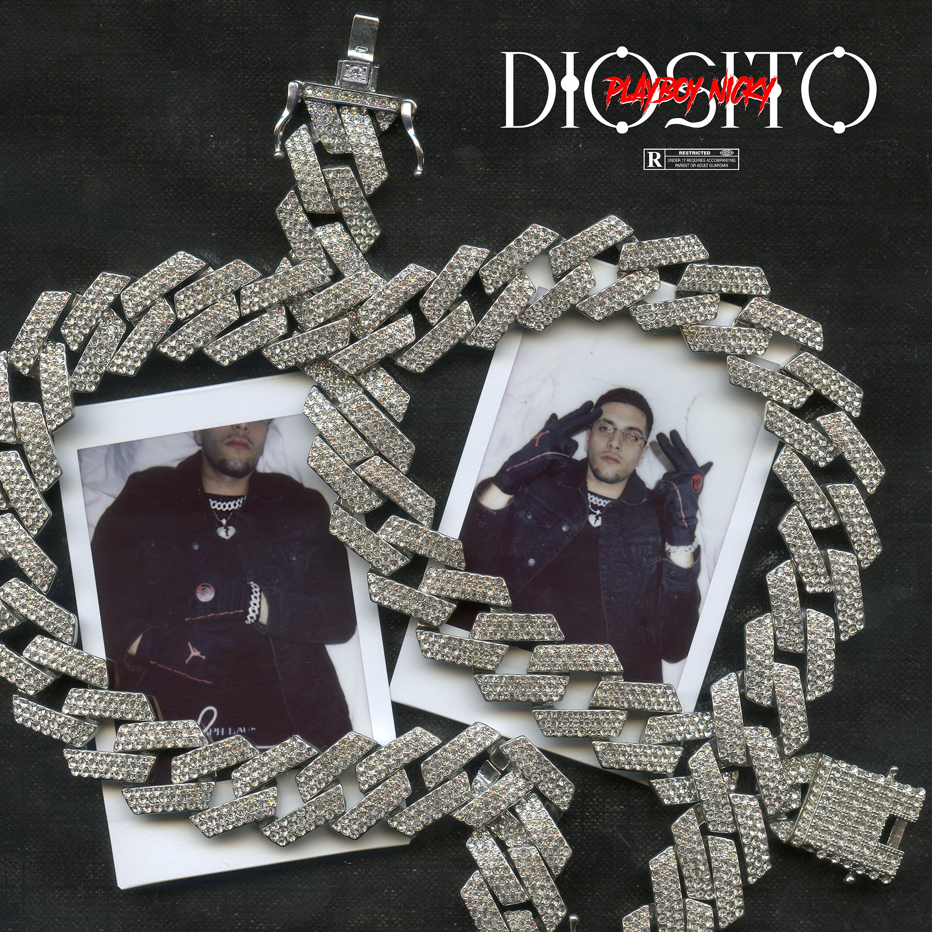 Постер альбома Diosito