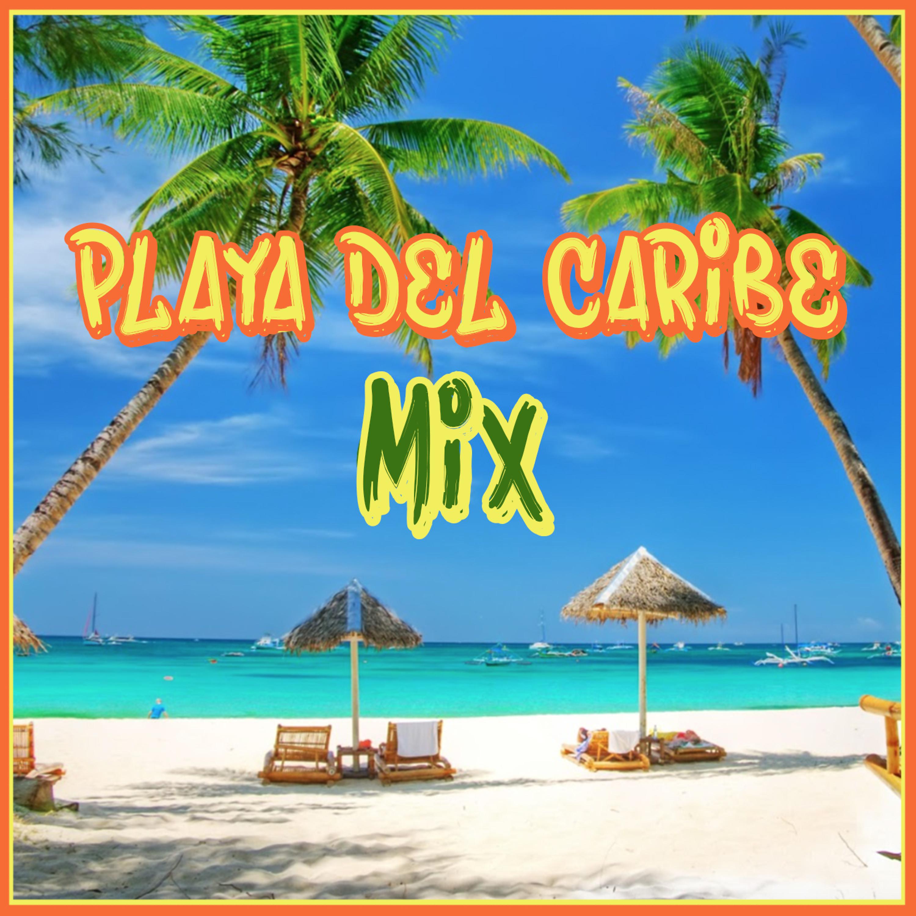 Постер альбома Playa del Caribe Mix