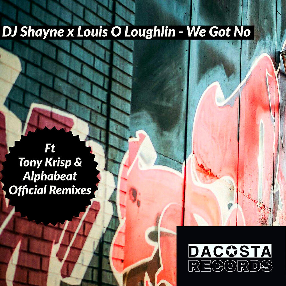 DJ Shayne - We Got No (Alphabeat Official Remix)
