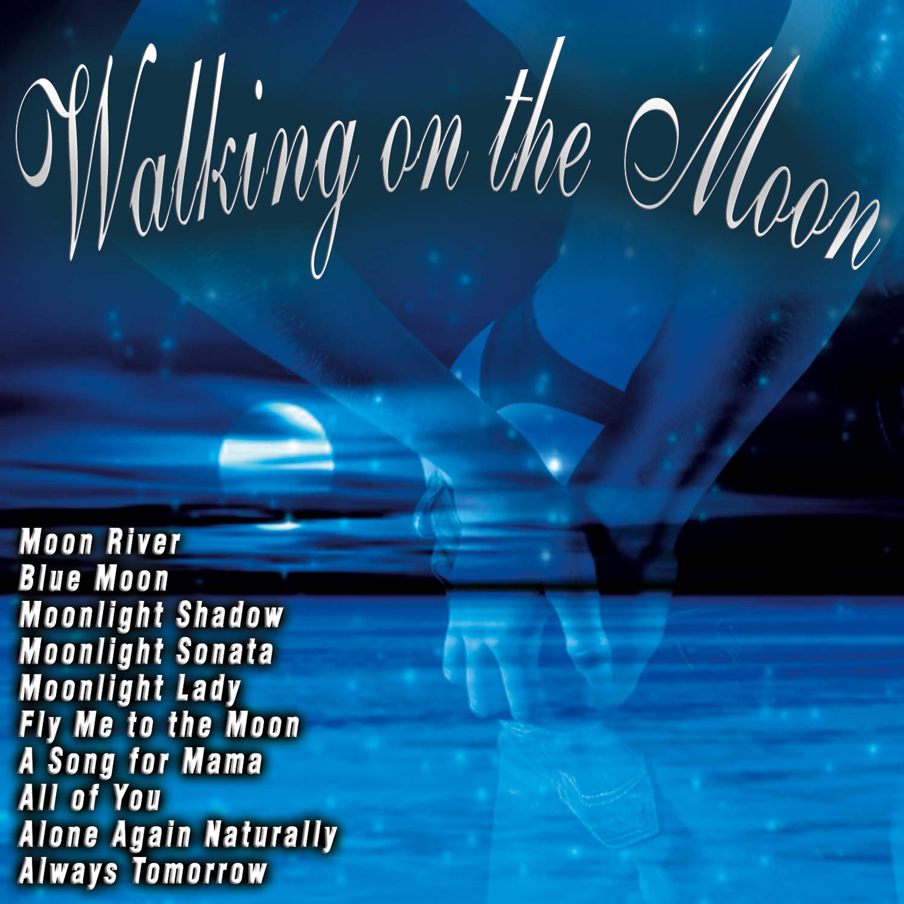 Постер альбома Walking On the Moon