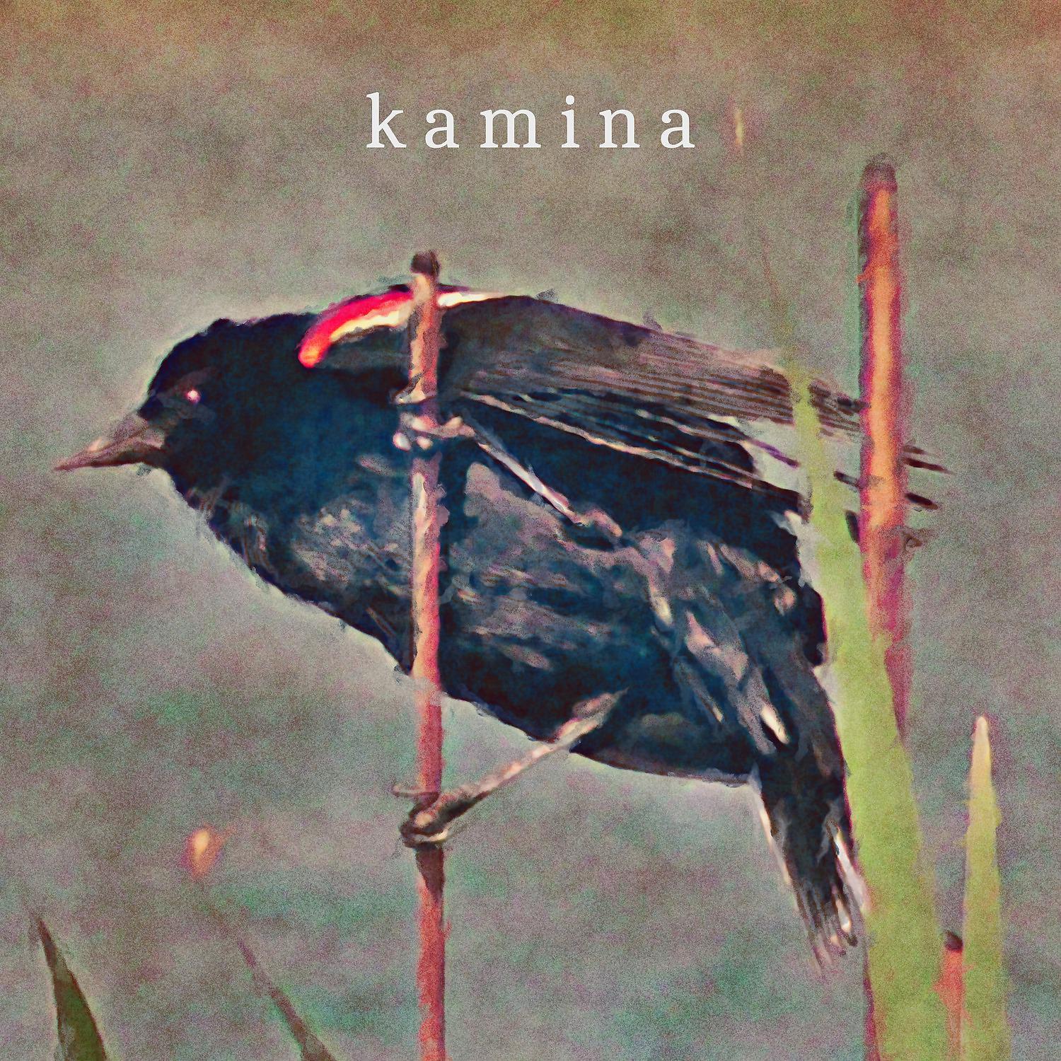 Постер альбома Untitled Kamina Tape