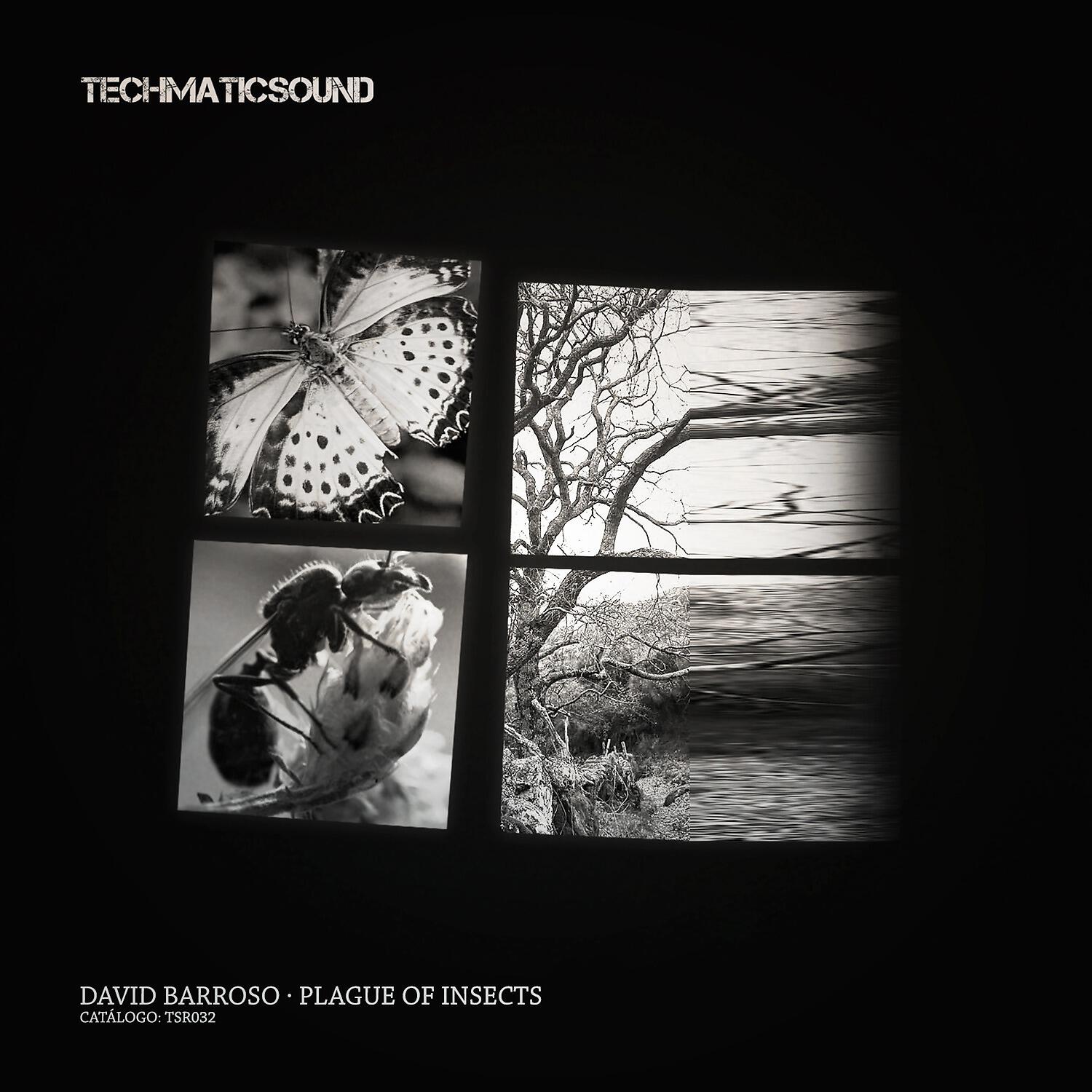 David Barroso - Defect Handling