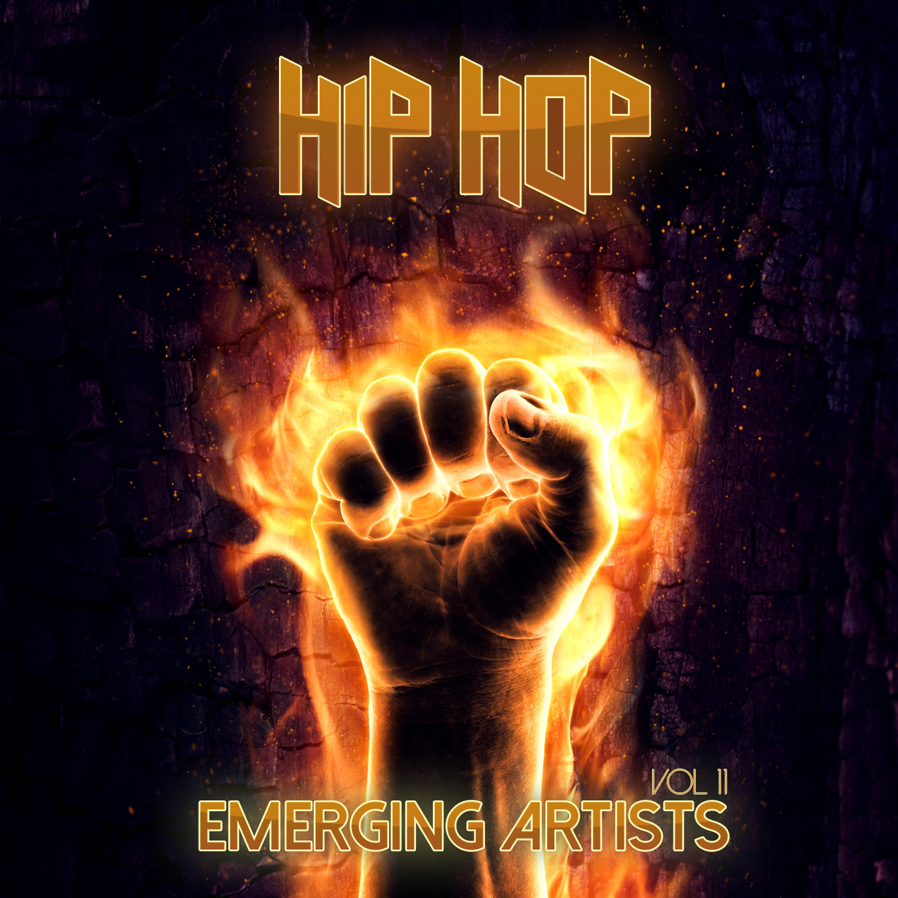 Постер альбома Emerging Artists: Hip Hop, Vol. 11