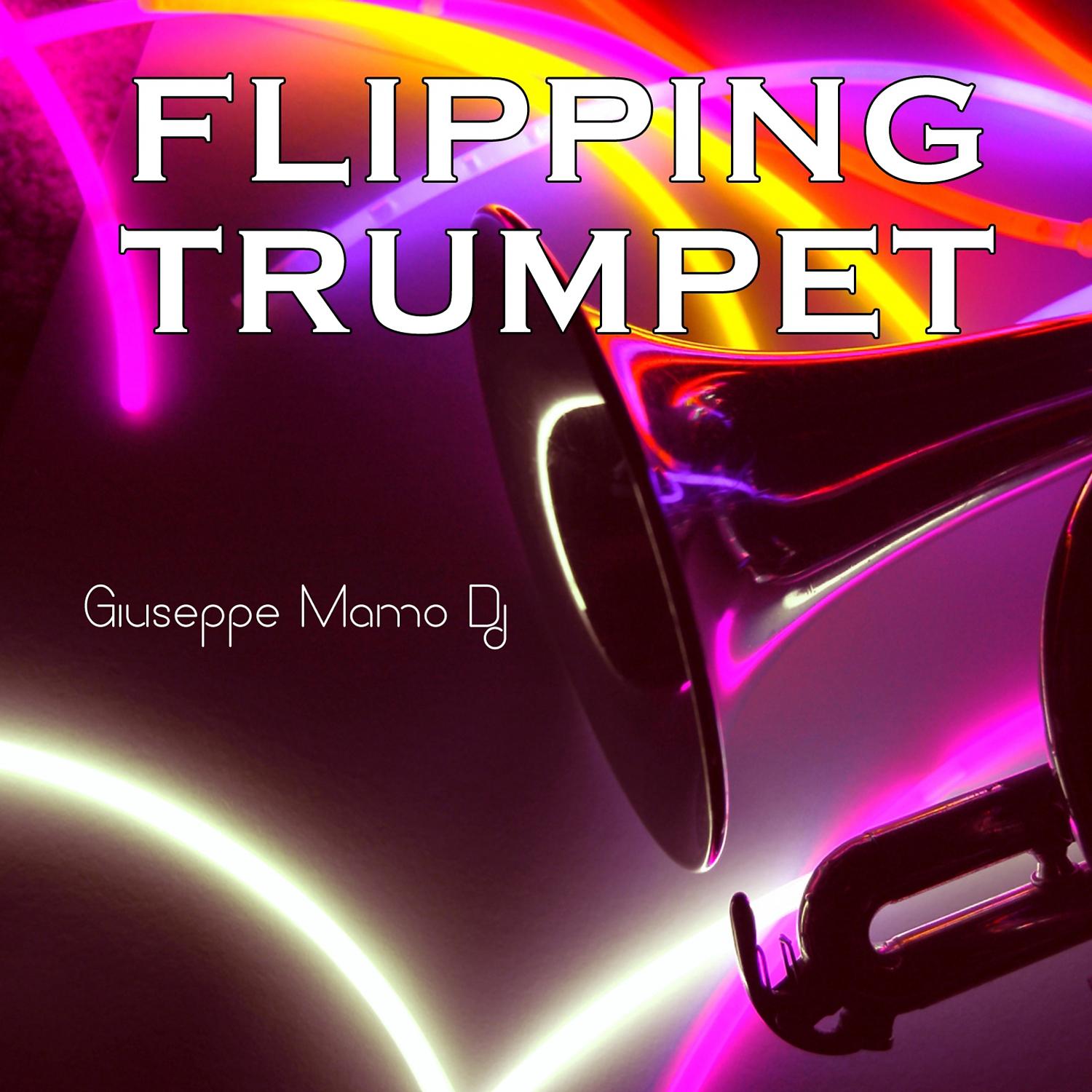 Постер альбома Flipping Trumpet
