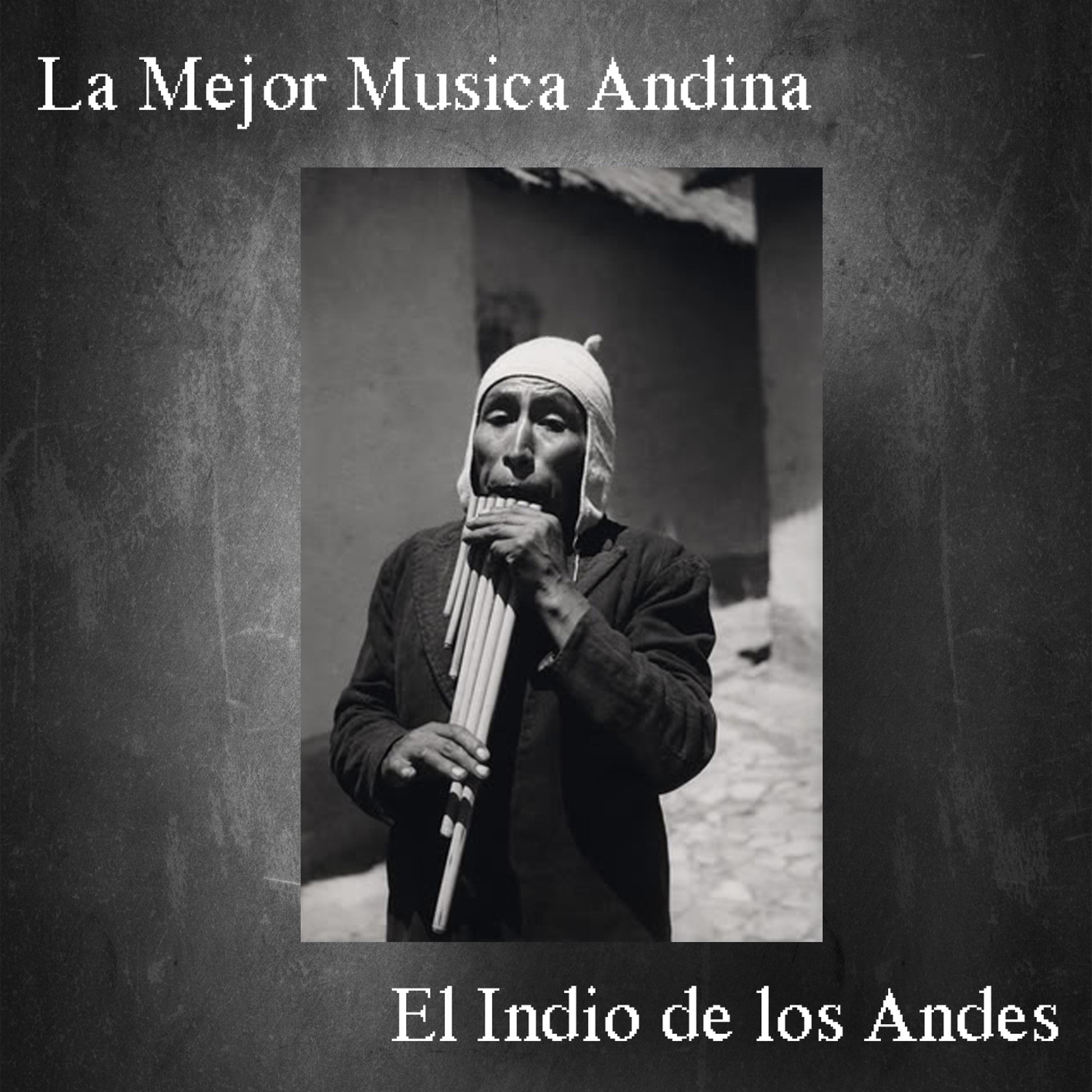 Постер альбома La Mejor Musica Andina - El Indio de los Andes