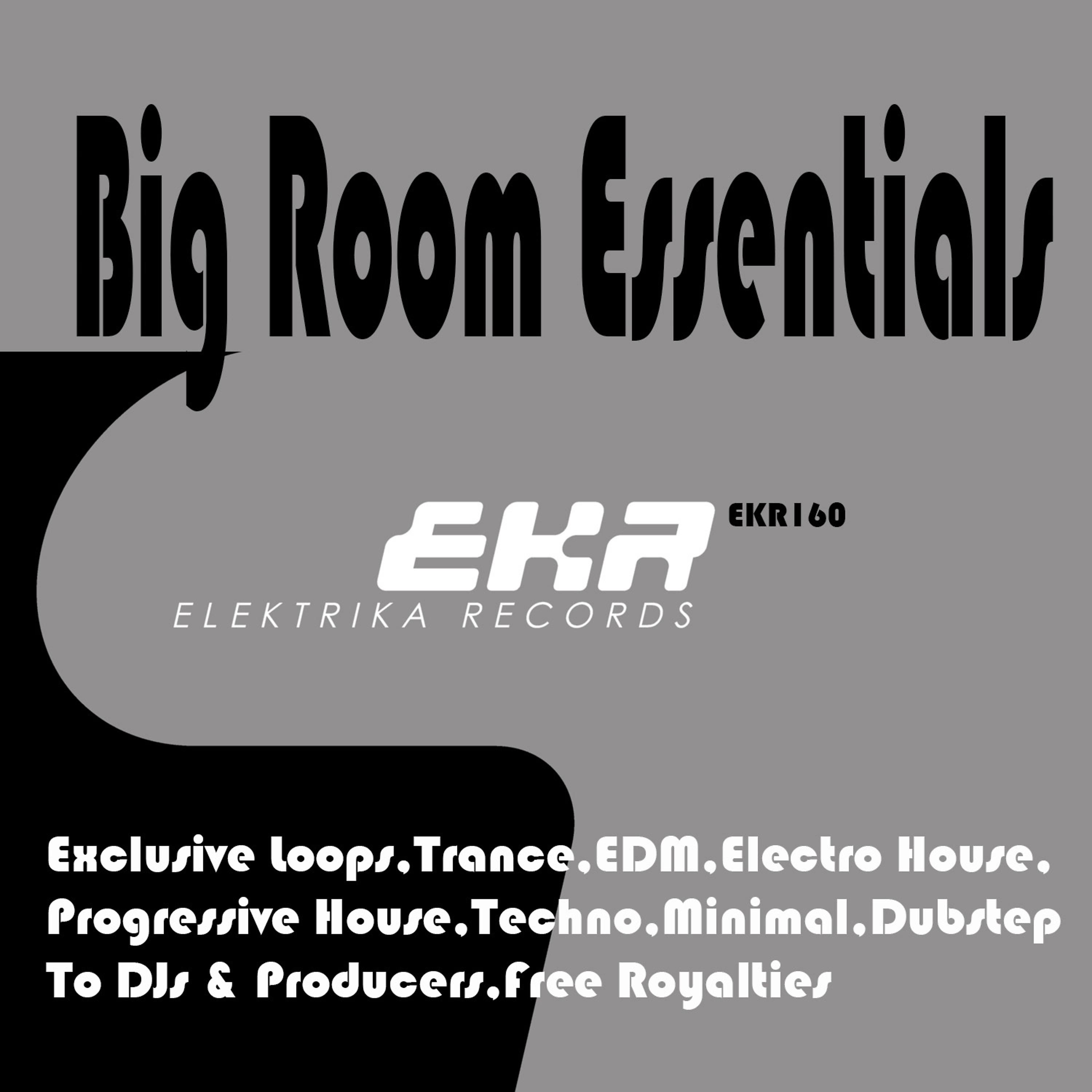 Постер альбома Big Room Essentials DJ Tools