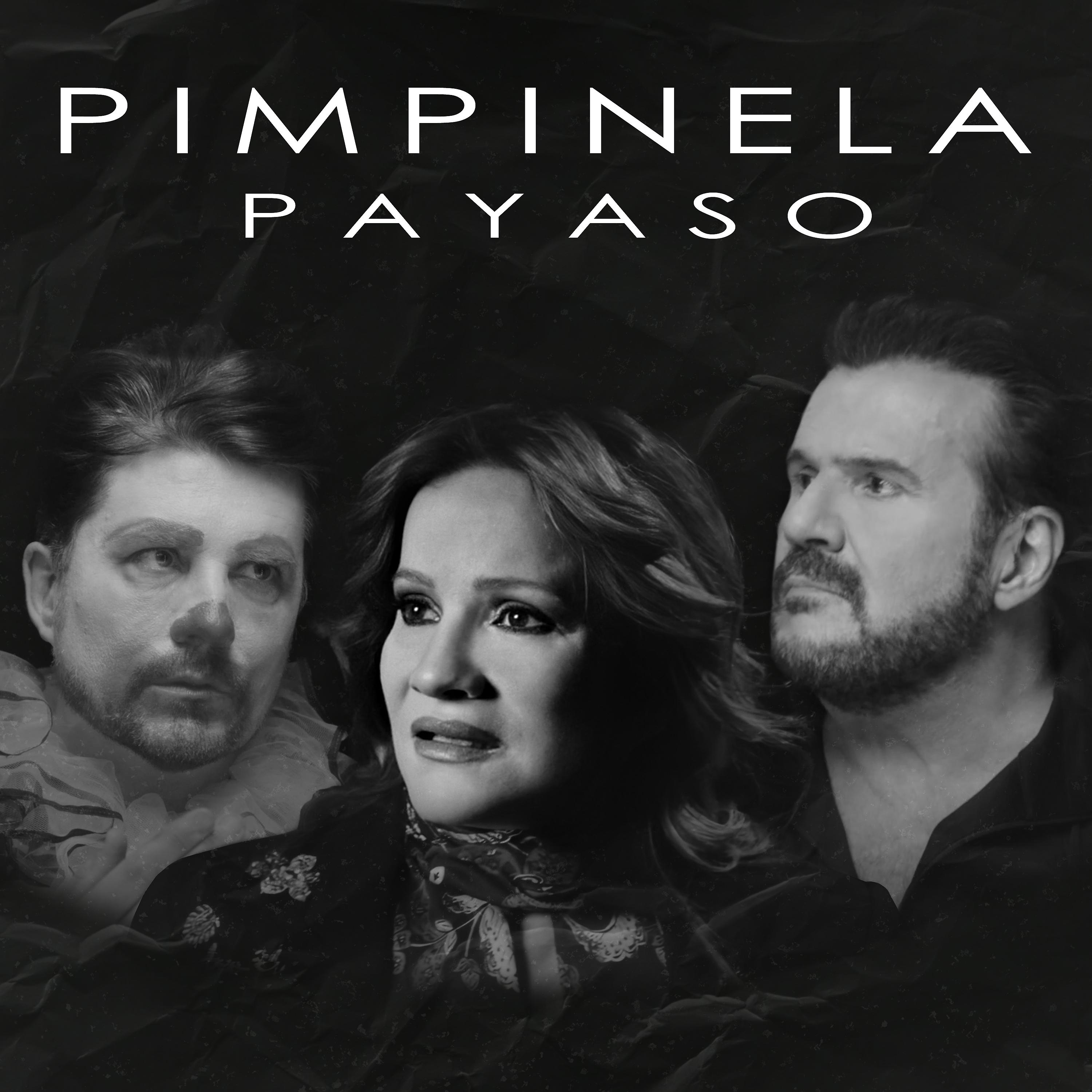 Постер альбома Payaso