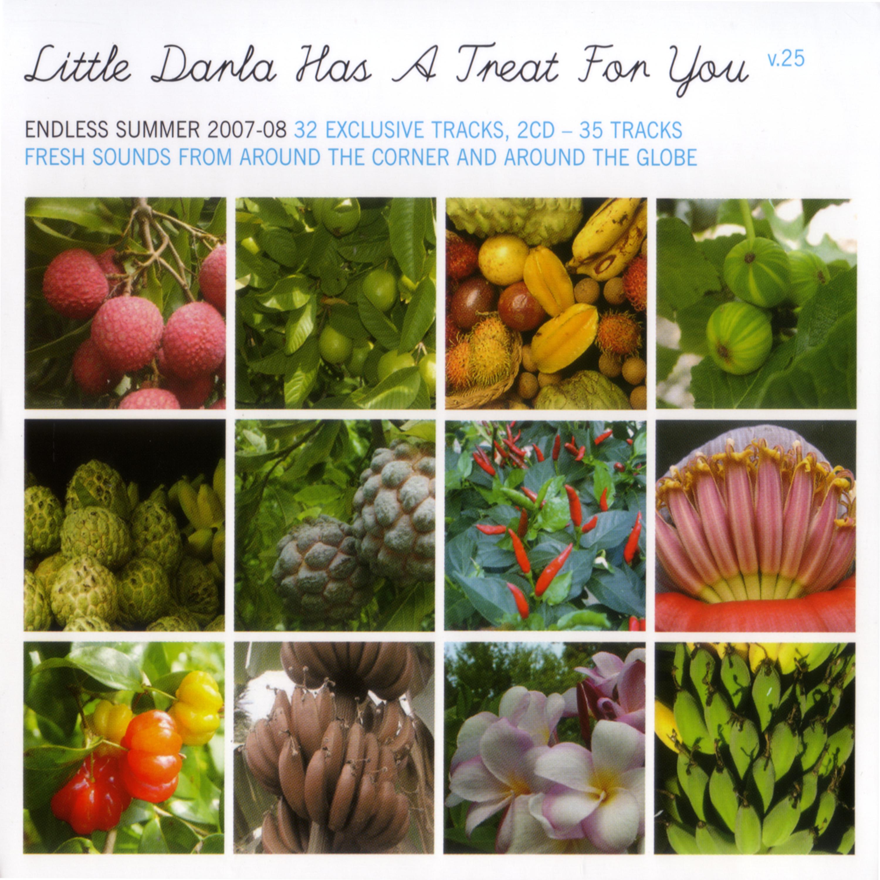 Постер альбома Little Darla Has A Treat For You v.25: Endless Summer 2007-08 Edition