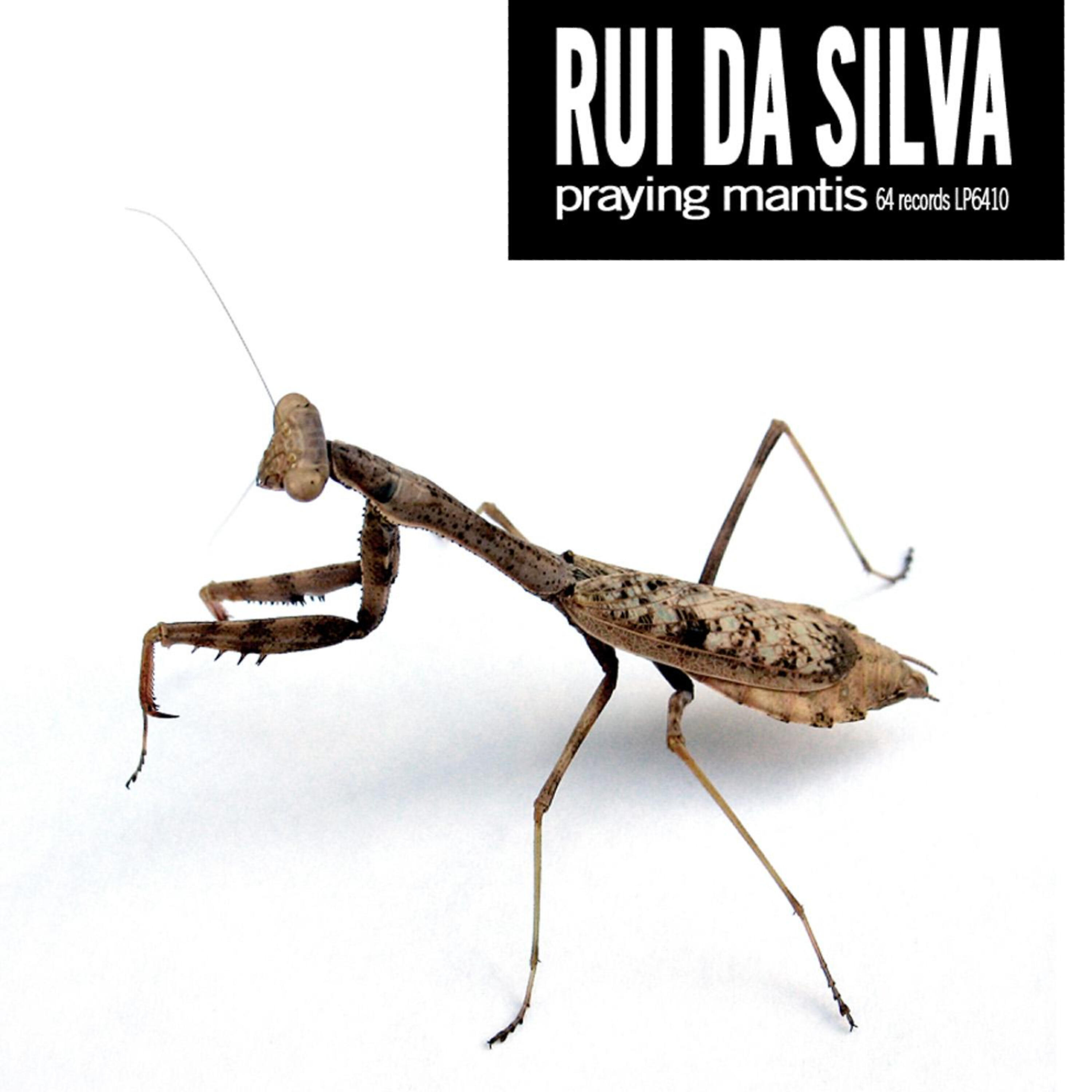 Rui Da Silva - Object Dissociation