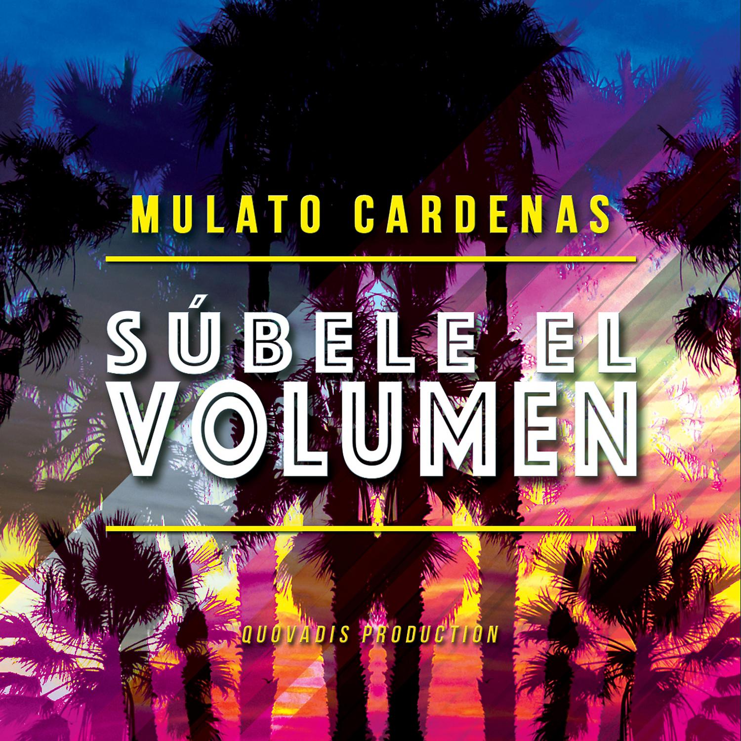 Постер альбома Sùbele El Volumen