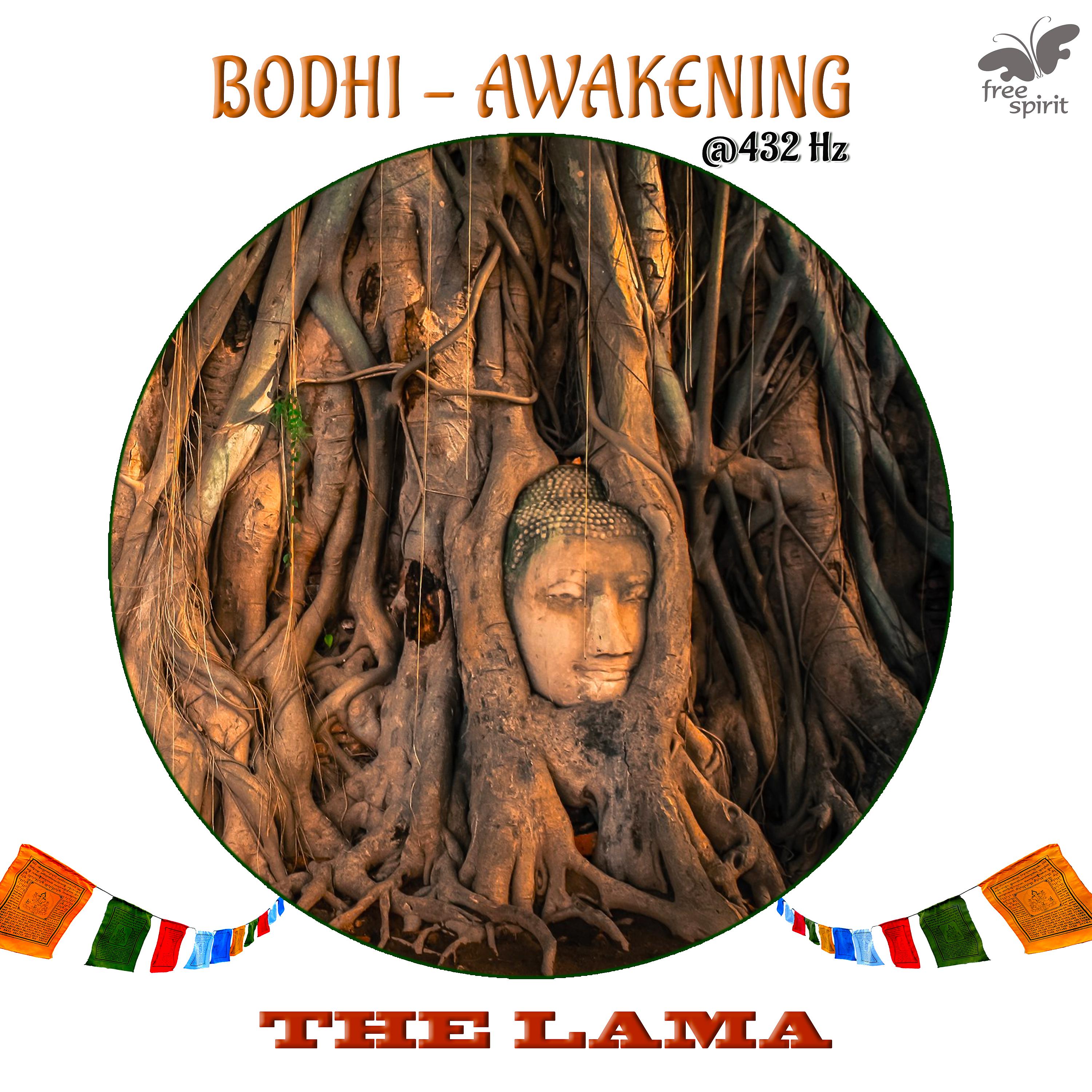 Постер альбома Bodhi - Awakening - at 432 Hz