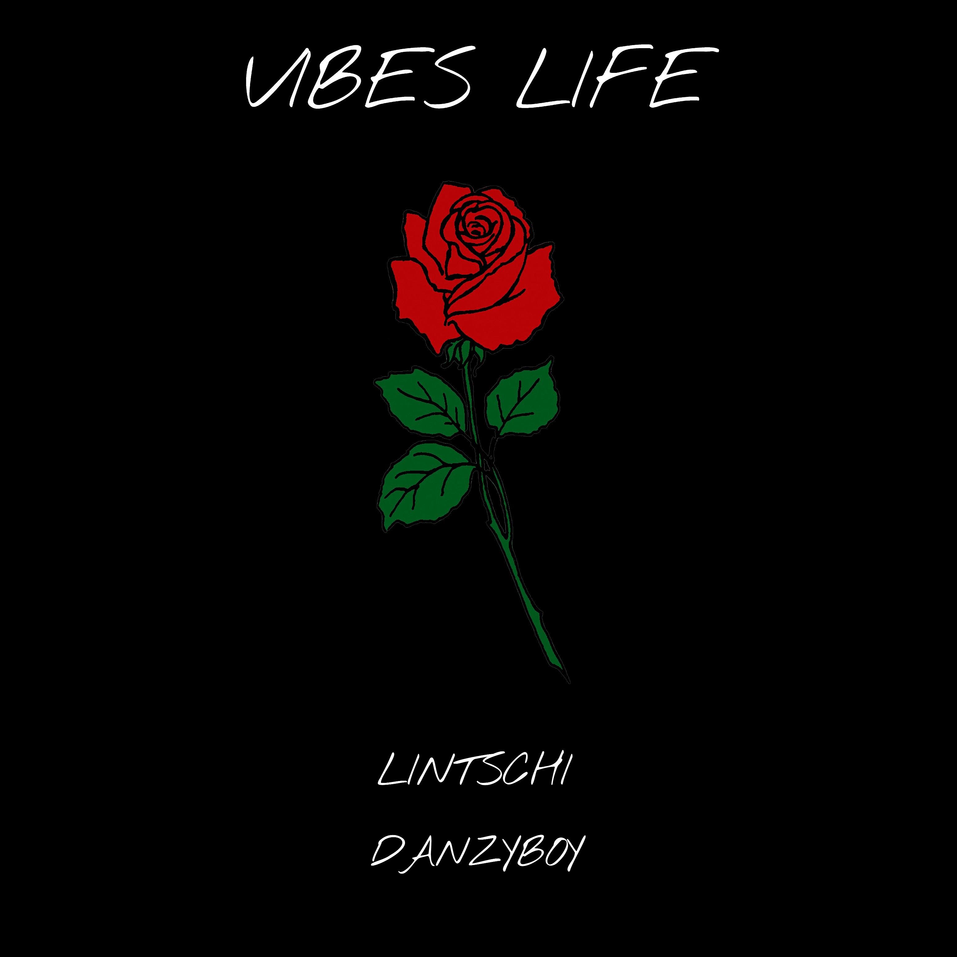 Постер альбома Vibes Life