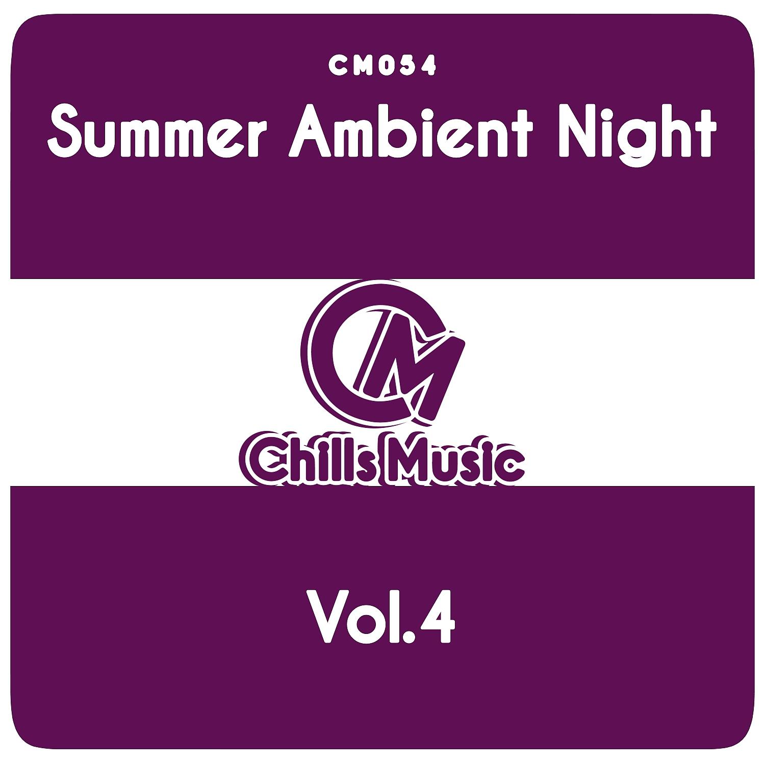 Постер альбома Summer Ambient Night, Vol. 4