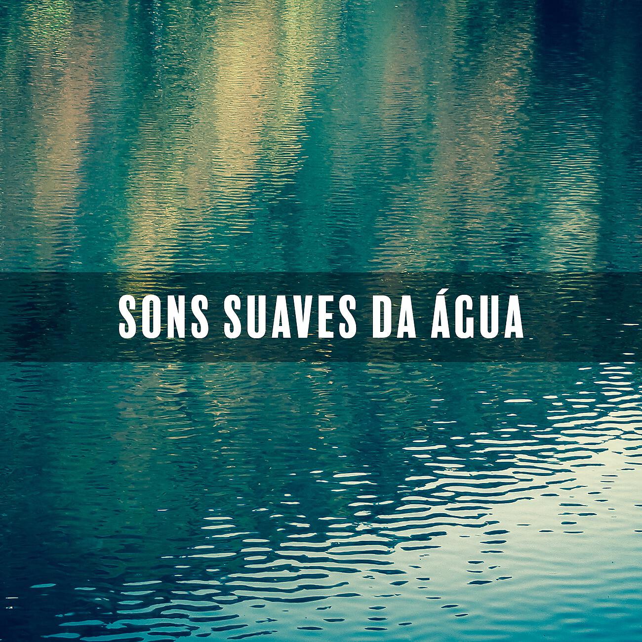 Academia Sons da Natureza - Sons e Pássaros Suaves de Watwer