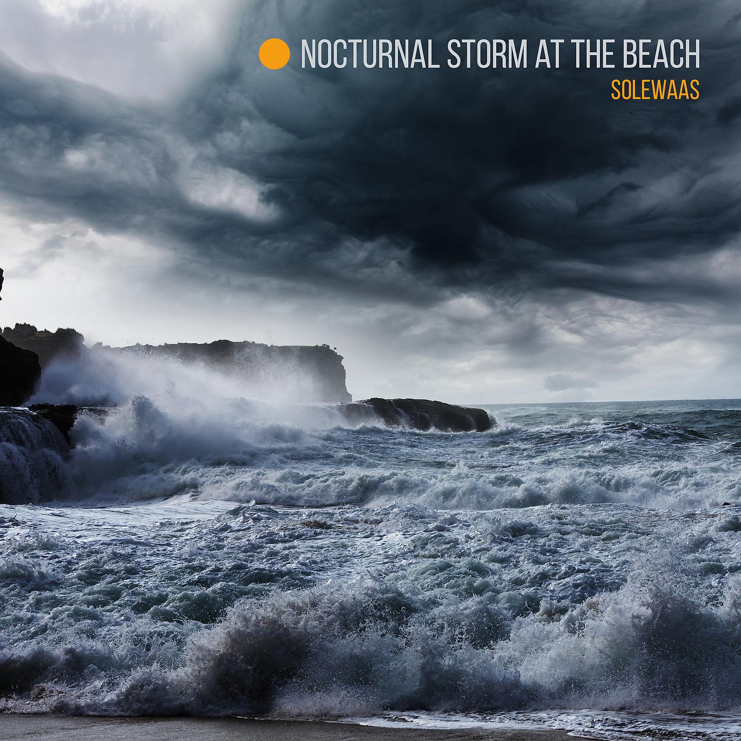 Постер альбома Nocturnal Storm at the Beach