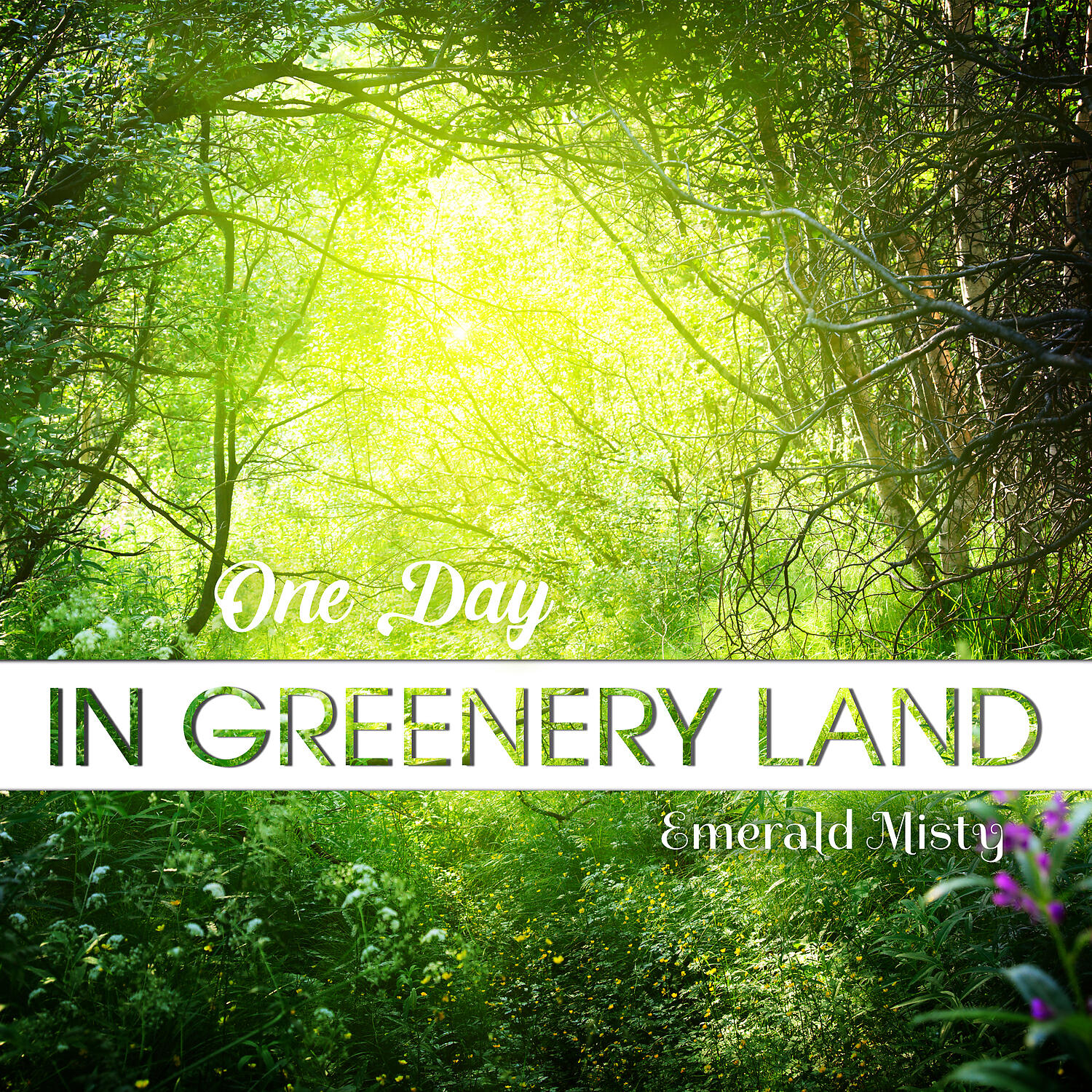 Emerald Misty - Future Plan
