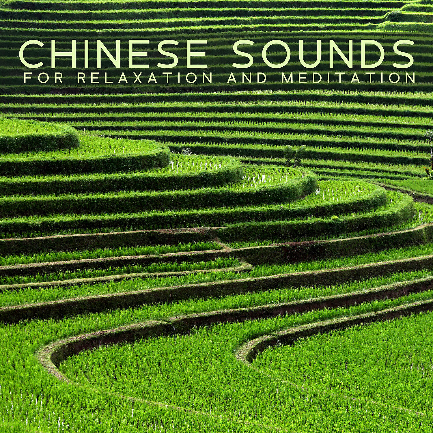 Ancient Asian Oasis - Asian Sounds for Deep Massage