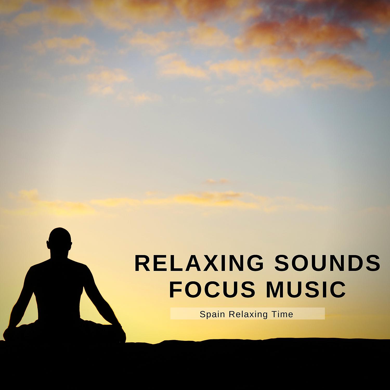 Постер альбома Relaxing Sounds, Focus Music