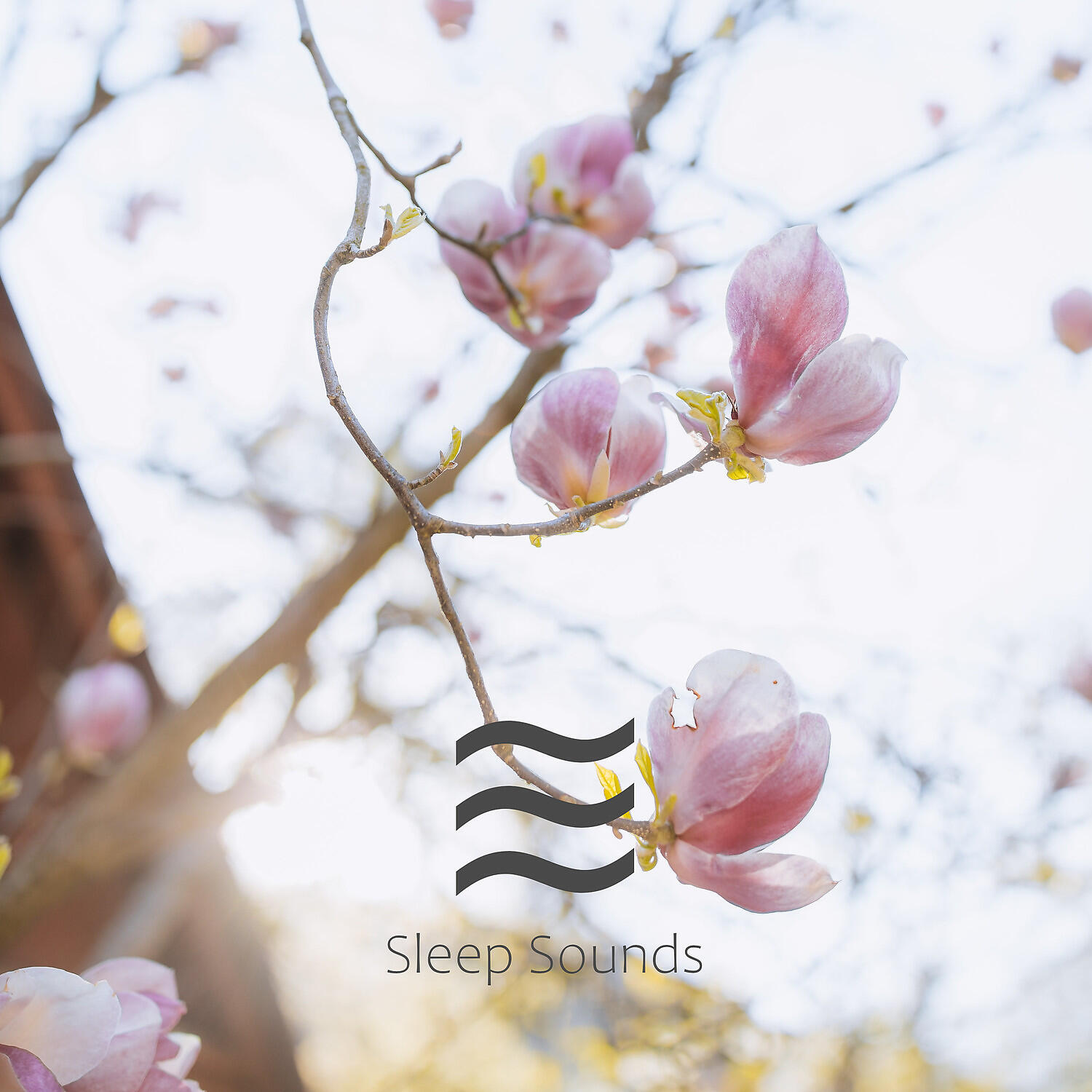 White Deep Noises - White Calm Soothing Shusher
