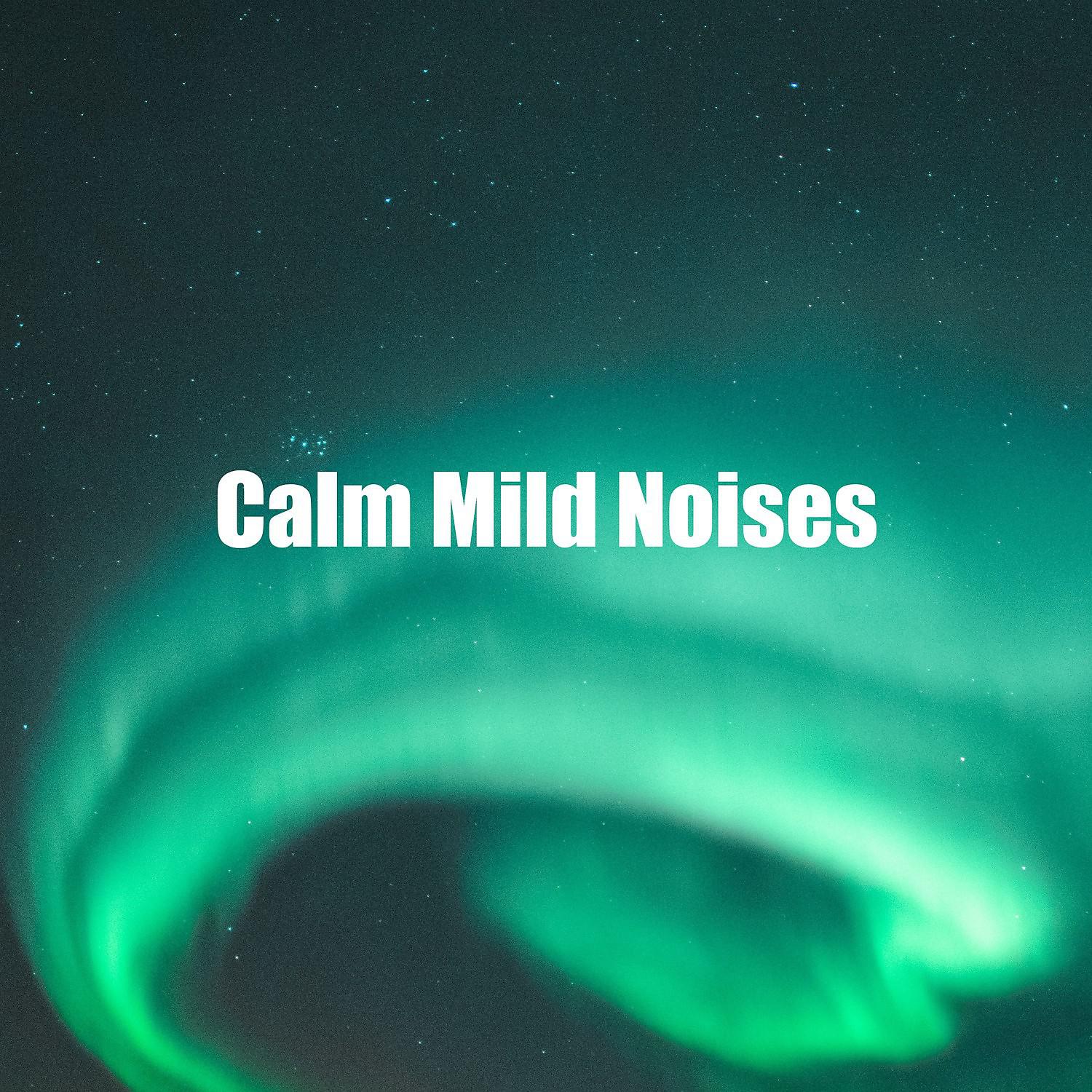 Постер альбома Calm Mild Noises