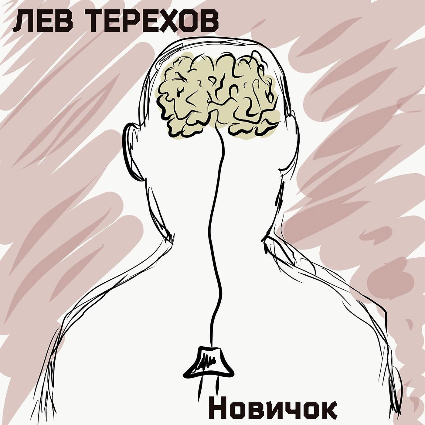 Постер альбома Новичок