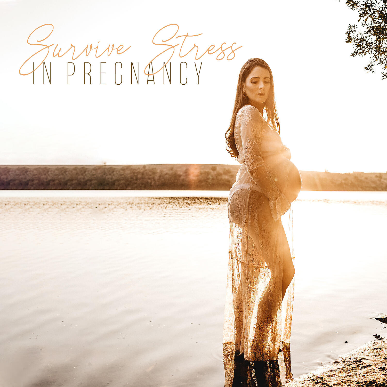 Serena Beatty – Anandra - A Tranquil Escape