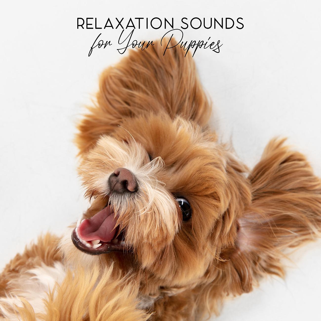Постер альбома Relaxation Sounds for Your Puppies