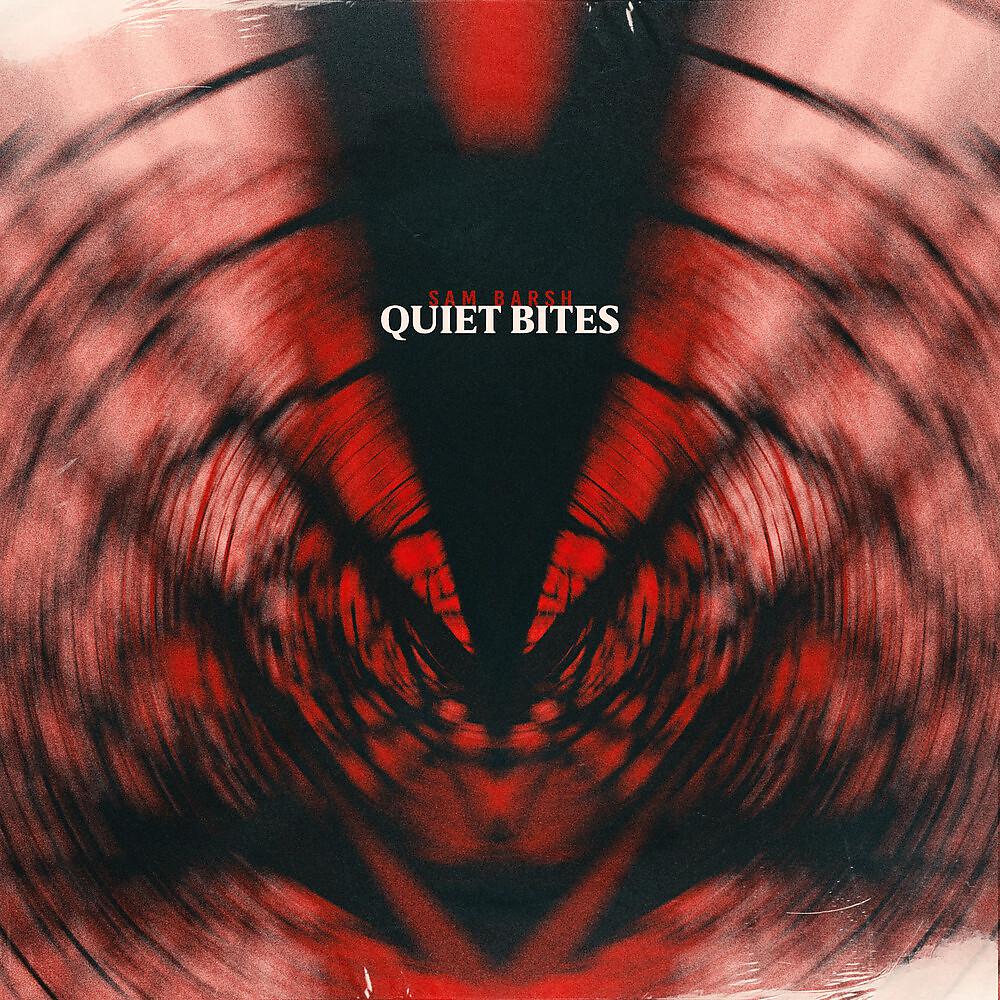 Постер альбома Quiet Bites