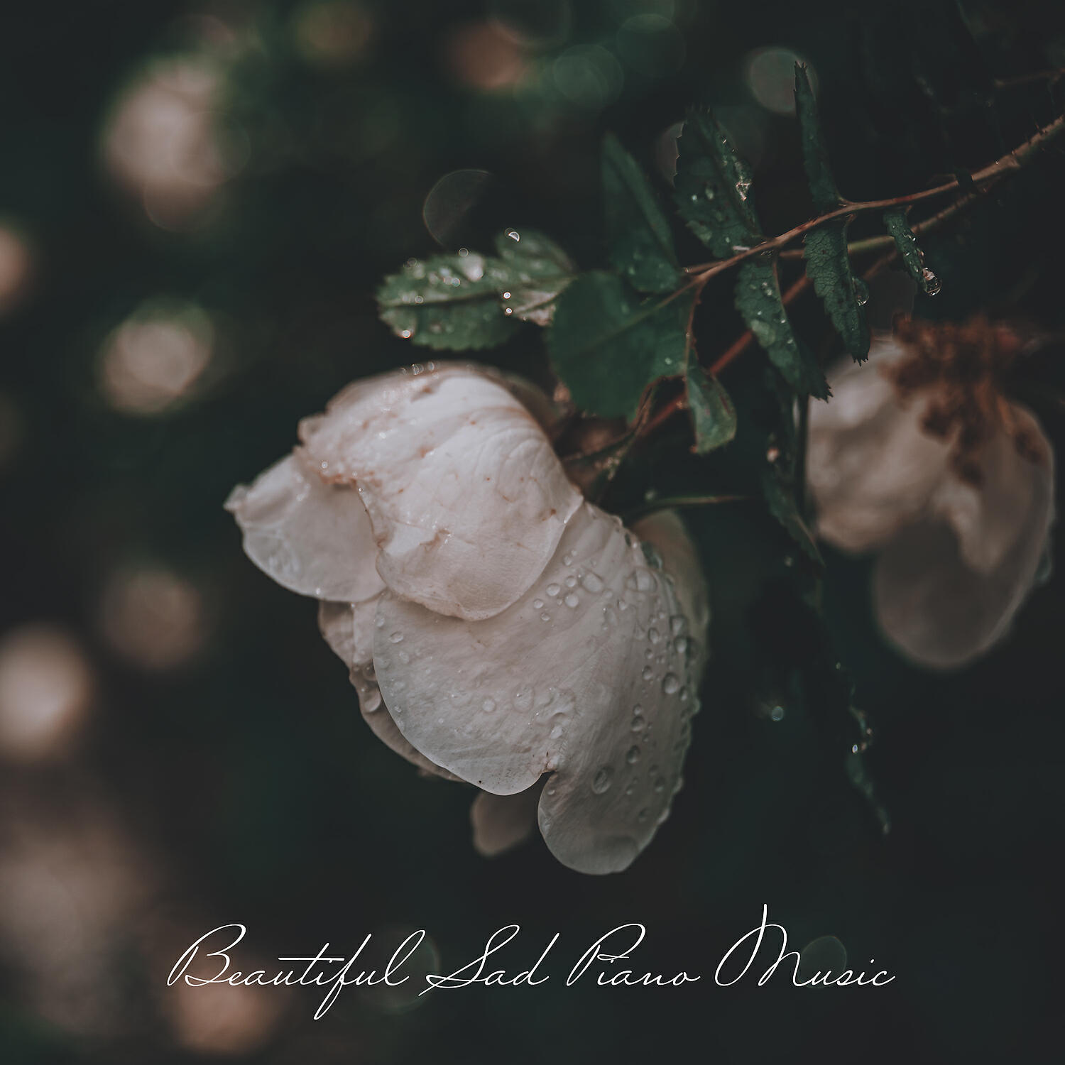 Sad Music Zone - Distant Love