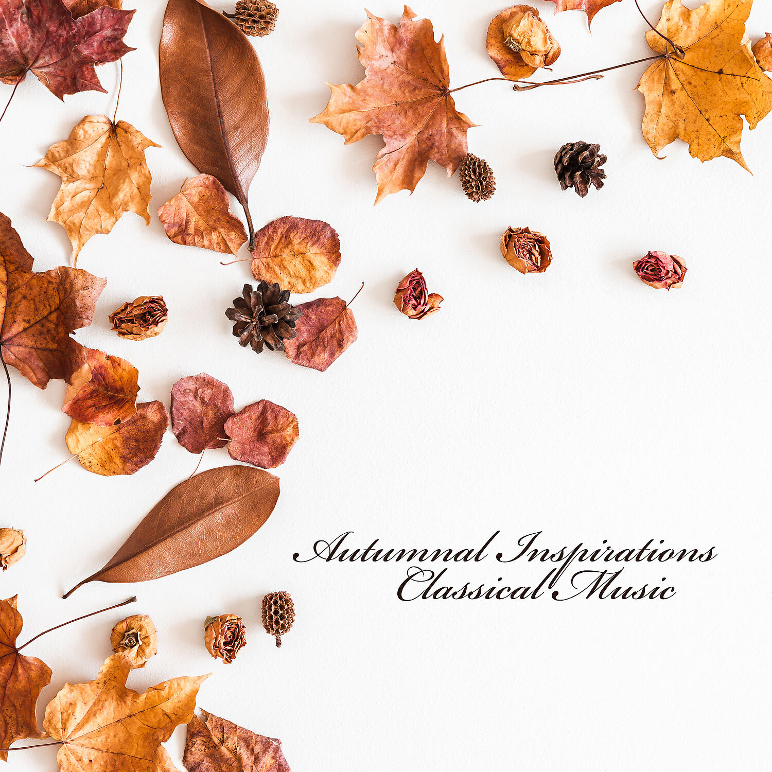 Saint-Petersburg Orchestra - Vivaldi - The Four Seasons - Summer III