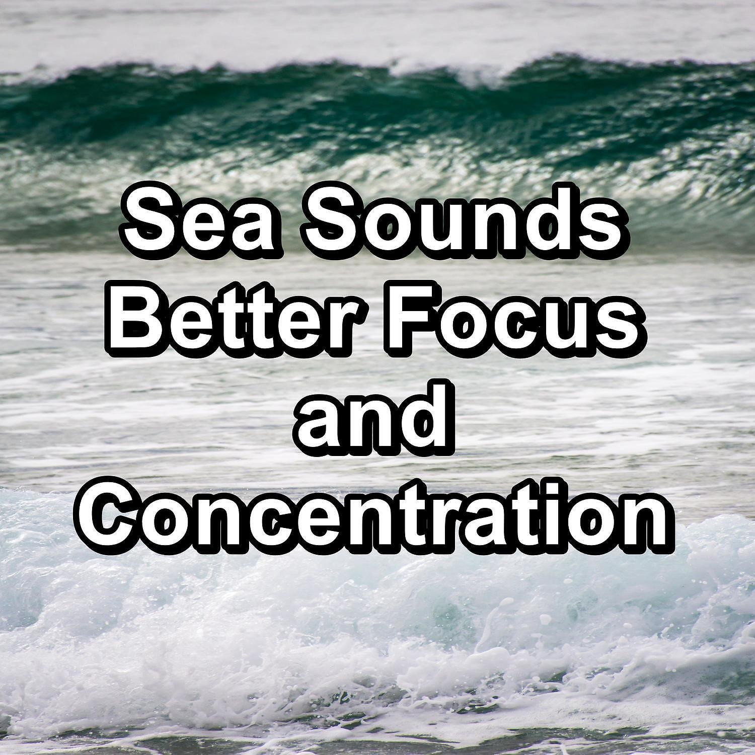 Nature Sound Collection - Gentle River Sounds Ocean Lullaby Ambience Sounds
