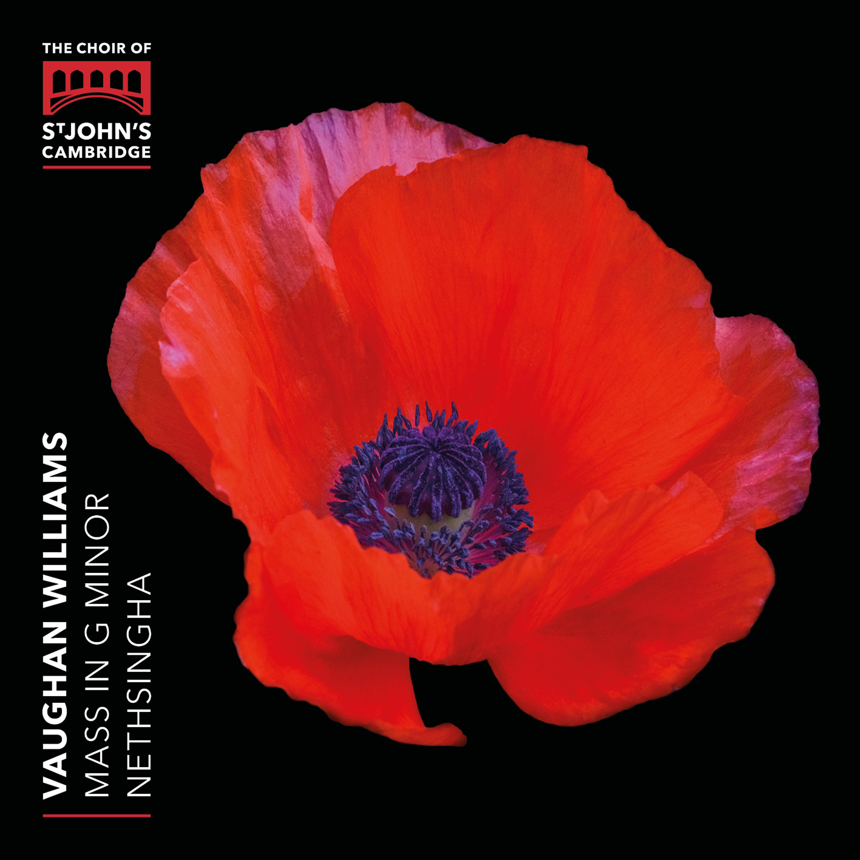 Постер альбома Vaughan Williams: Mass in G Minor