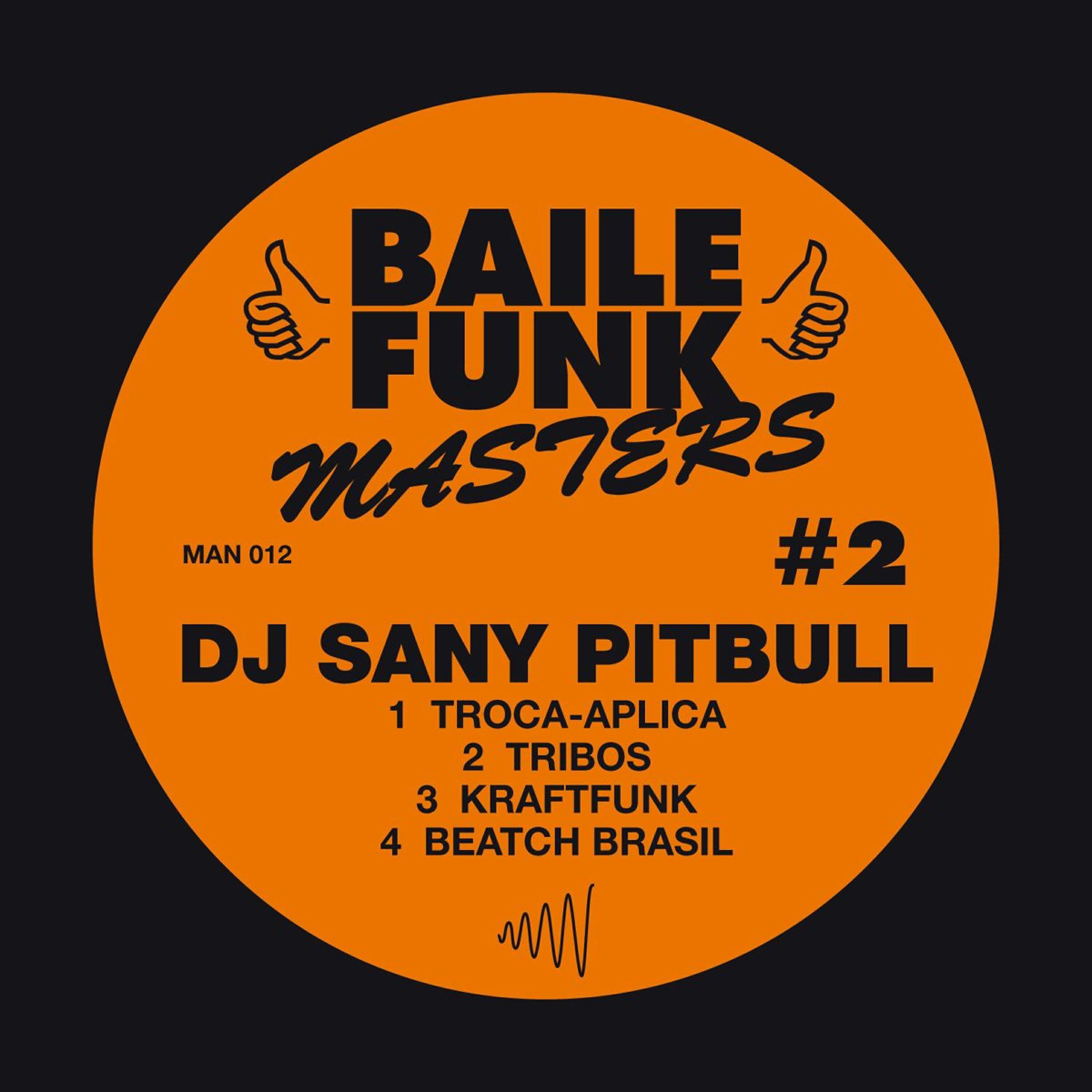 DJ Sany Pitbull - Beatch Brasil